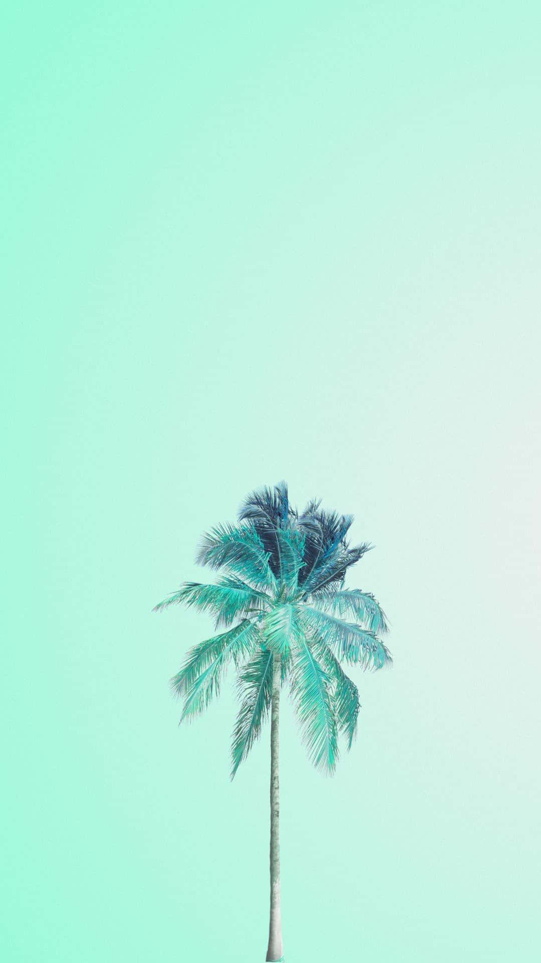 Blue Green Aesthetic Singular Palm Tree Background