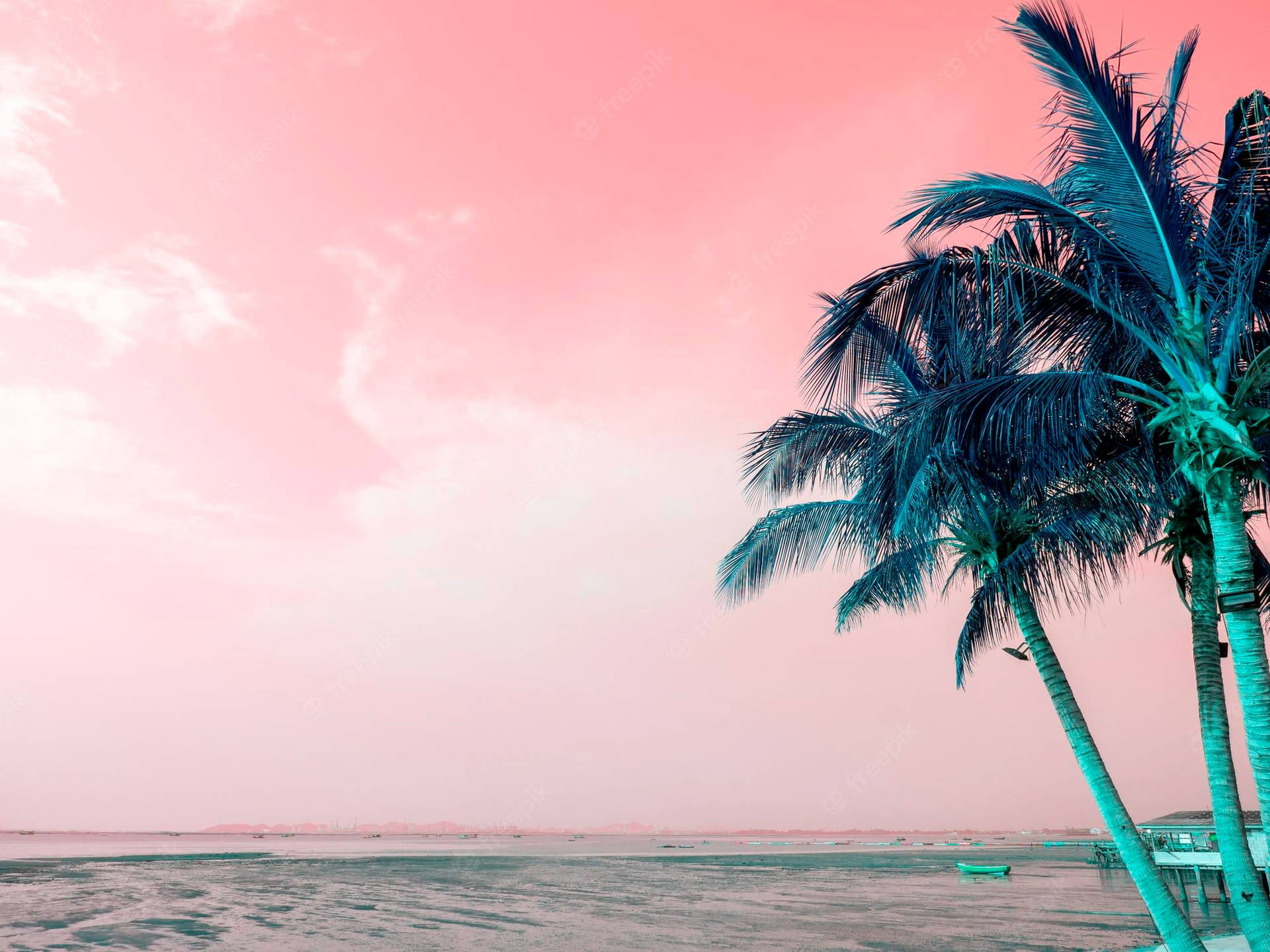 Blue Green Coconut Trees And Pink Sky Background