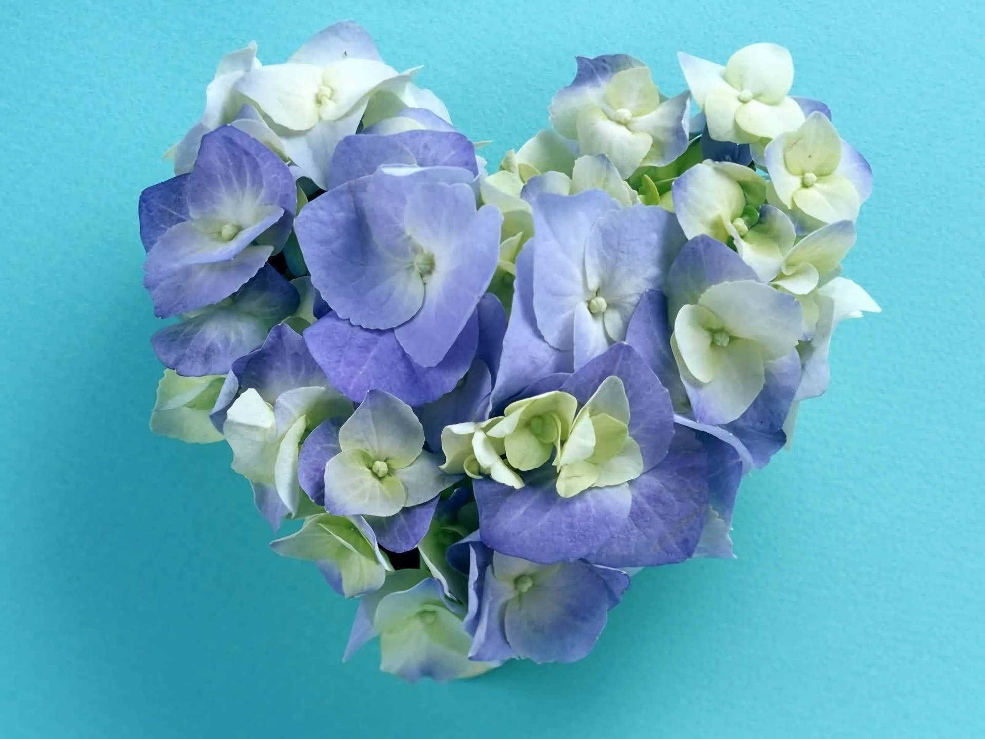 Blue Heart Floral Arrangement Background