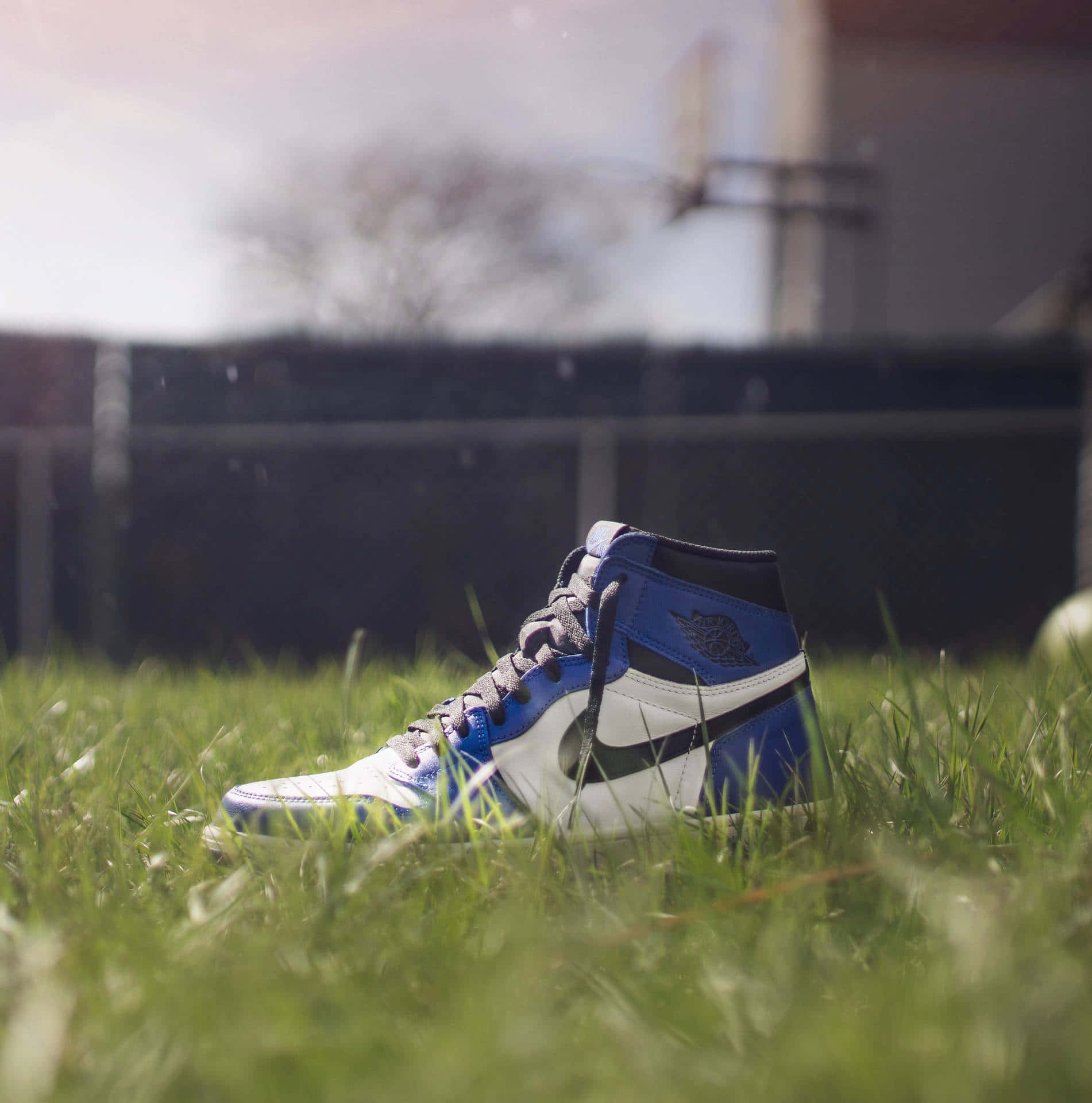 Blue High Top Sneakerin Grass Background