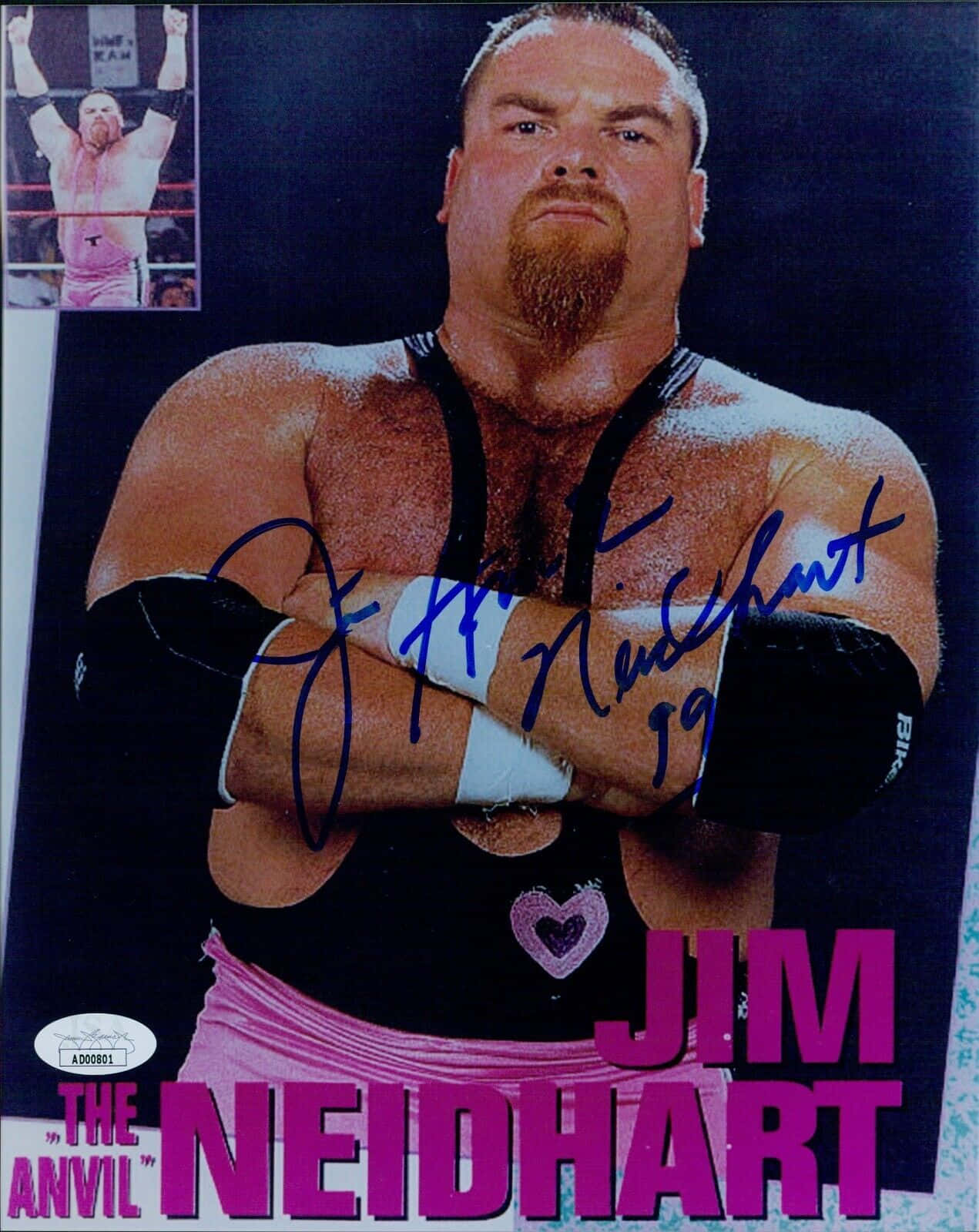 Blue Ink Signature Jim Neidhart Background