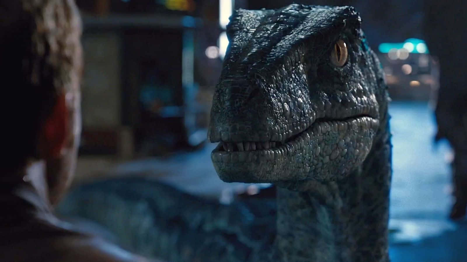 Blue Jurassic World Owen Grady Background