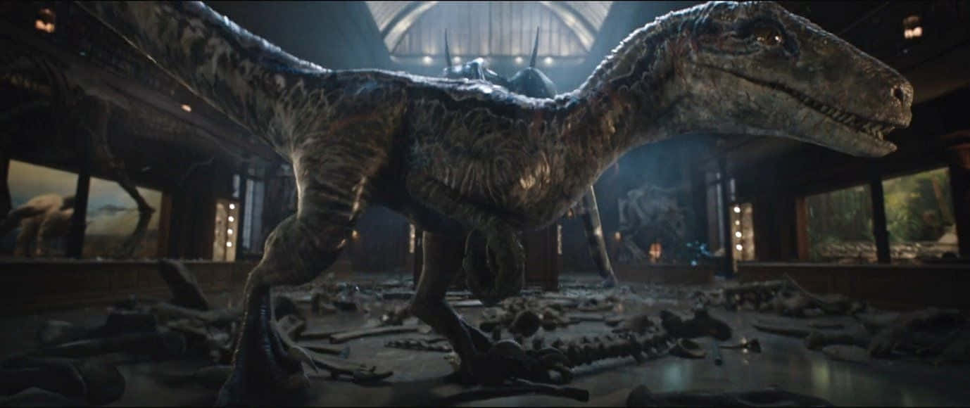 Blue Jurassic World Widescreen Background