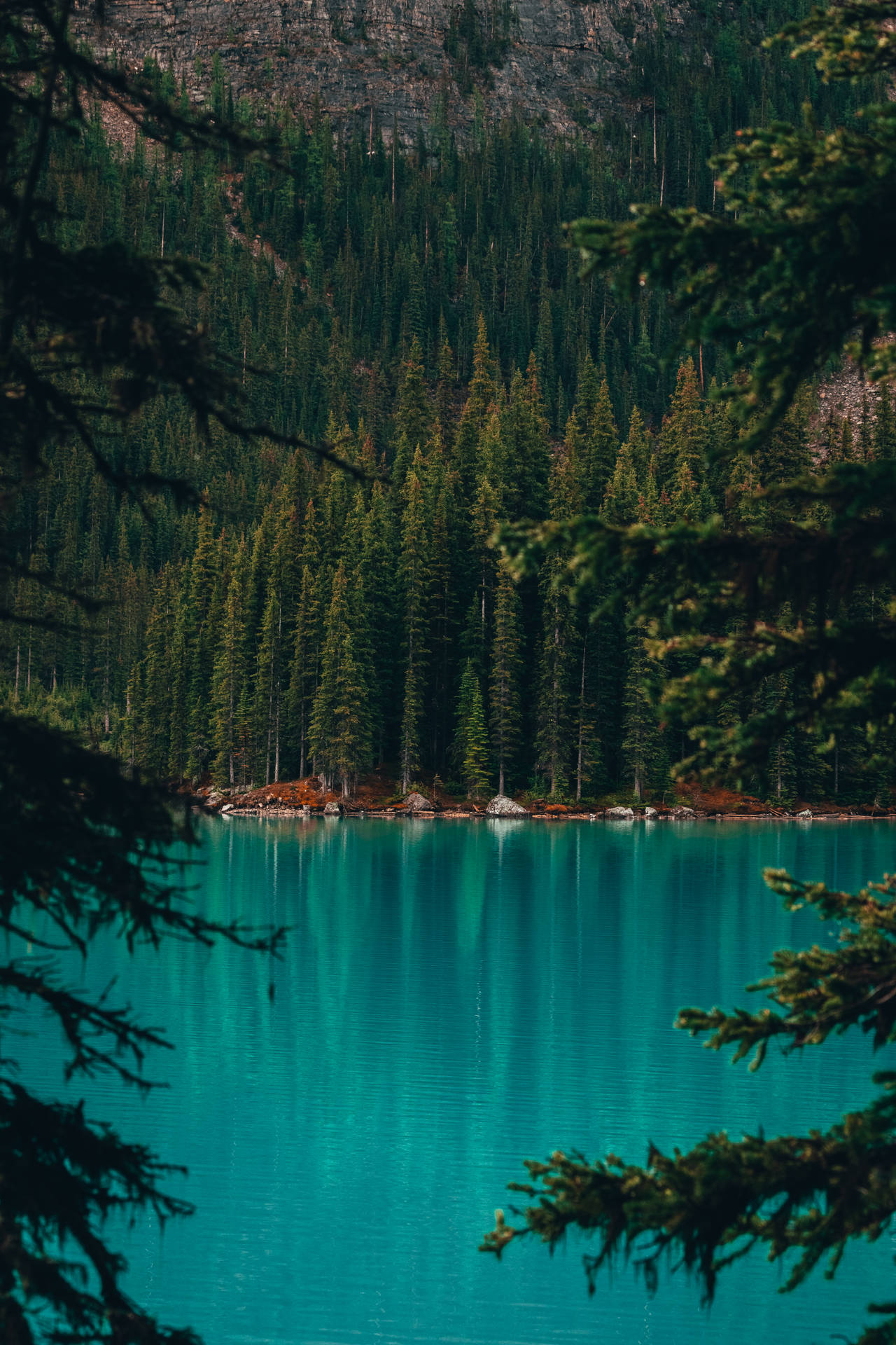 Blue Lake Louise In Canada Iphone Background