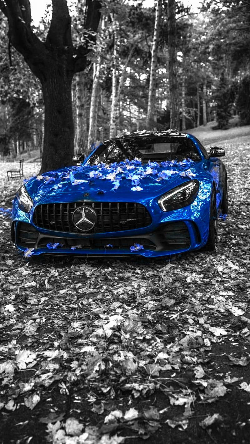 Blue Mercedes Benz Car Amg Gt