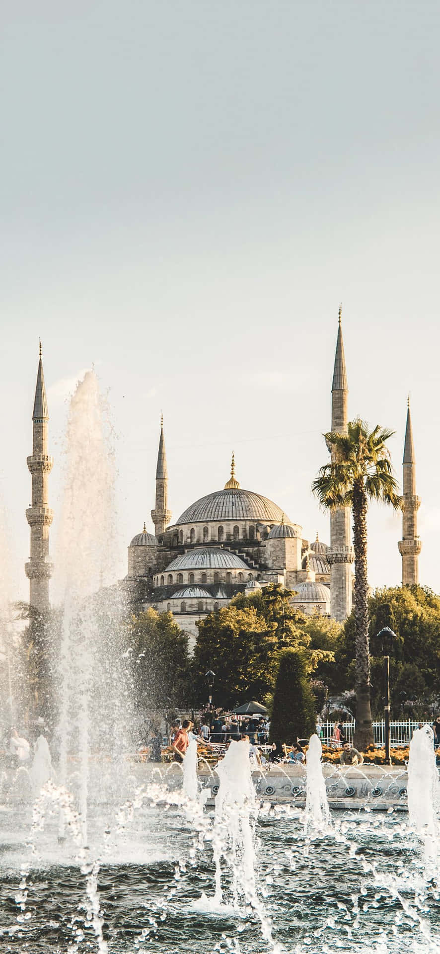 Blue Mosque Water Fountain Portrait Background
