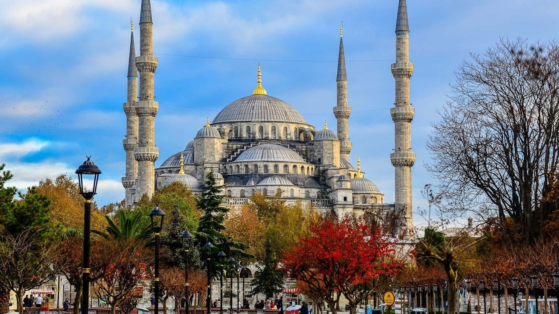 Blue Mosque With Fall Trees Background