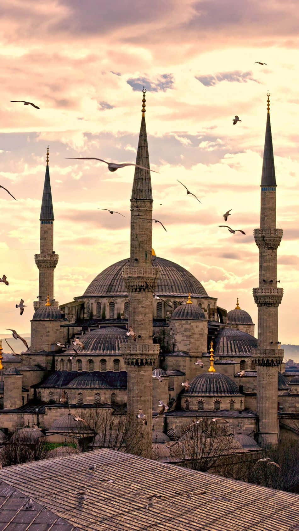 Blue Mosque With Flying Birds Portrait Background