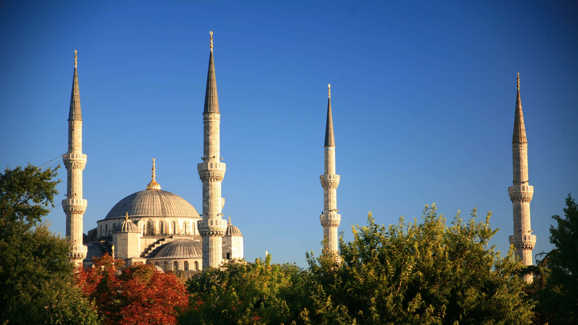 Blue Mosque With Vignette Effect Background