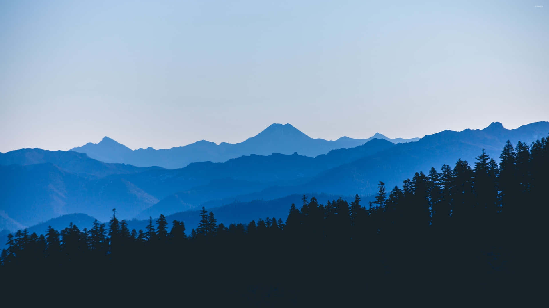 Blue Mountain Forest Trees Background