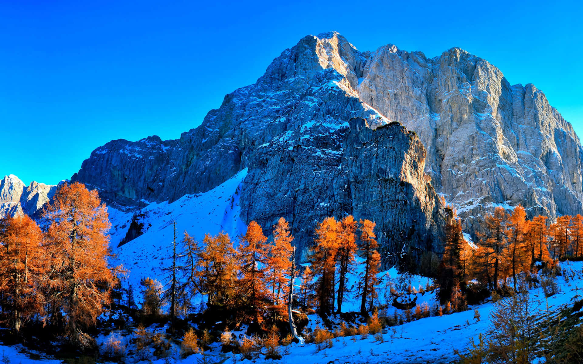 Blue Mountain Lined With Trees Background