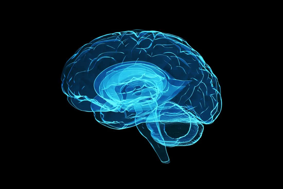 Blue Neural Network Brain Illustration