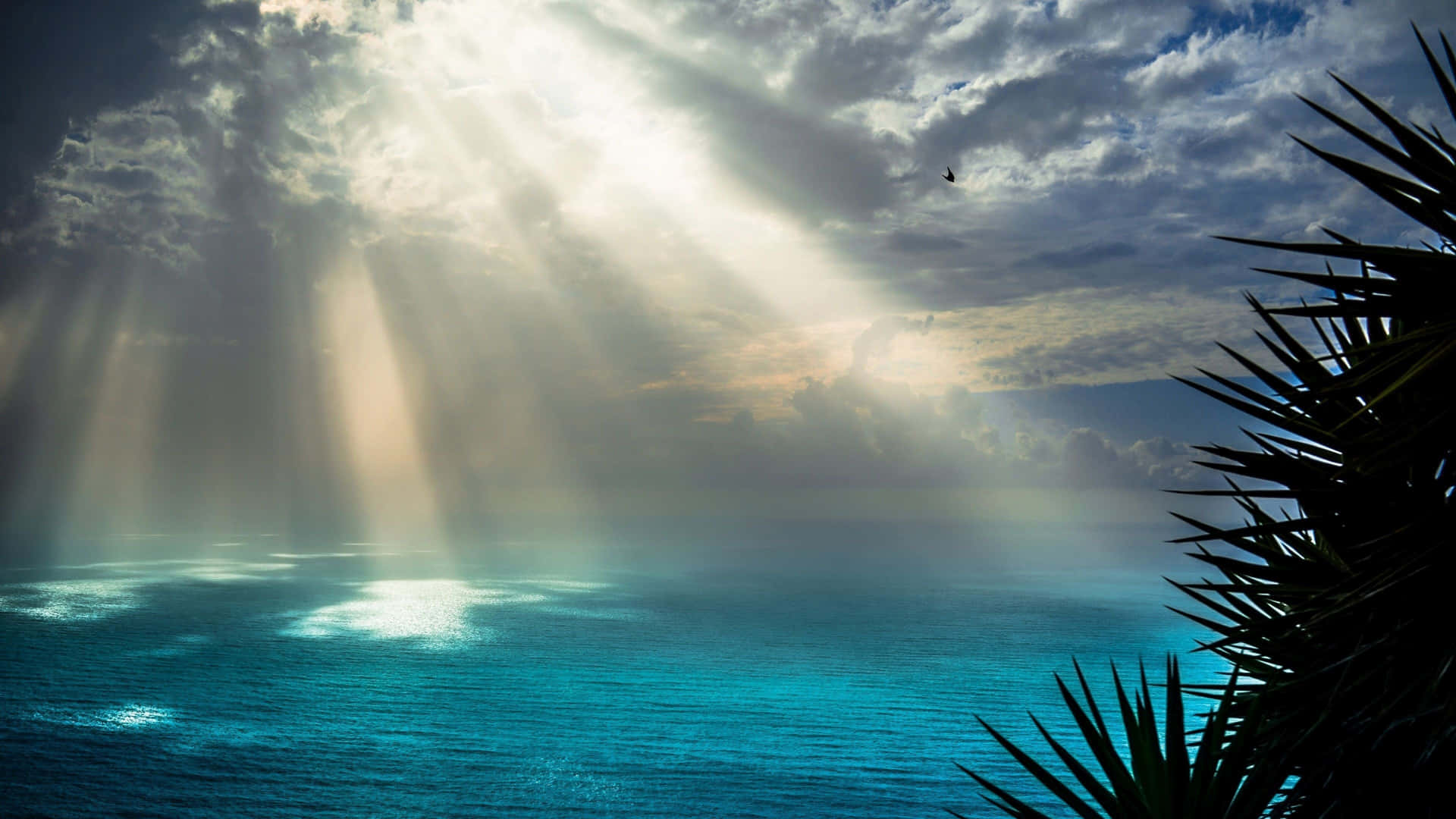 Blue Ocean With Sun Rays Background