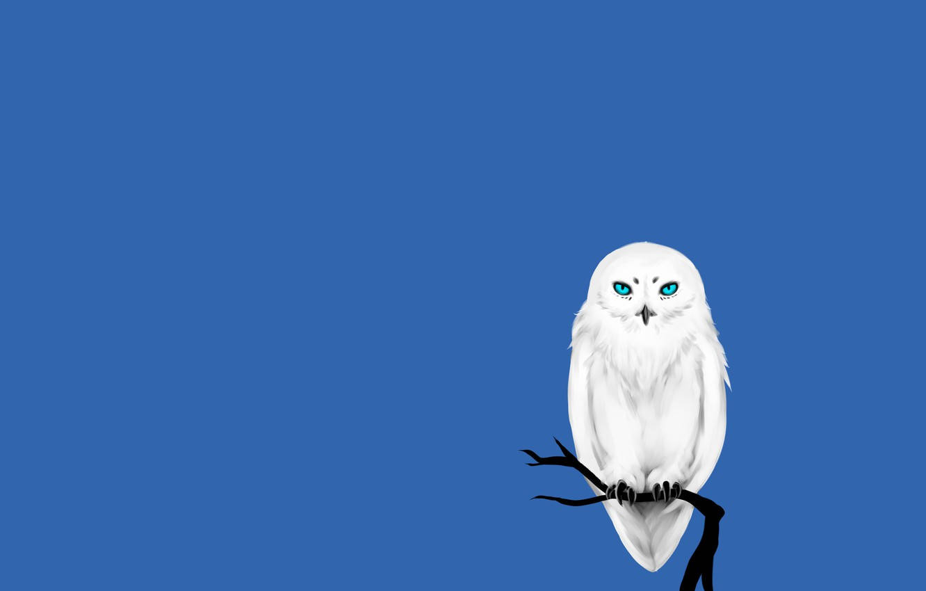 Blue Owl Art Background
