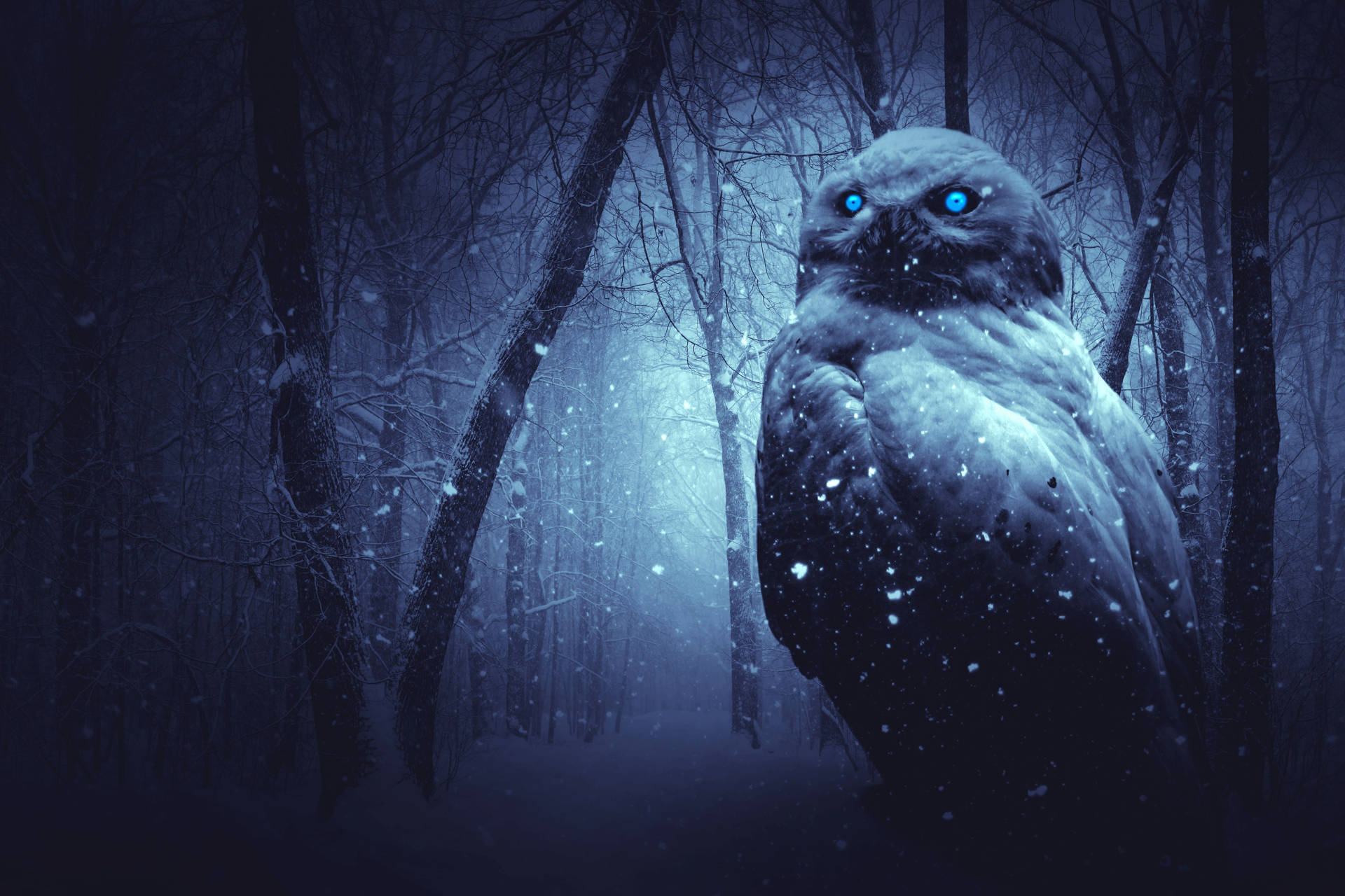 Blue Owl Scary Eyes Background