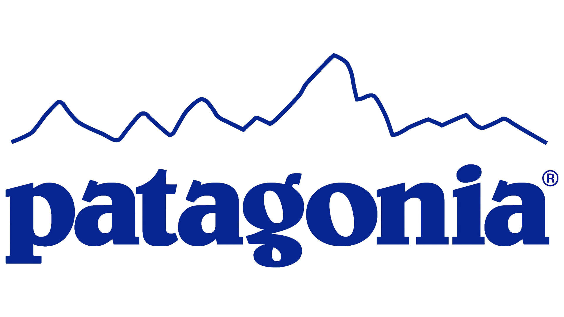 Blue Patagonia Logo Background
