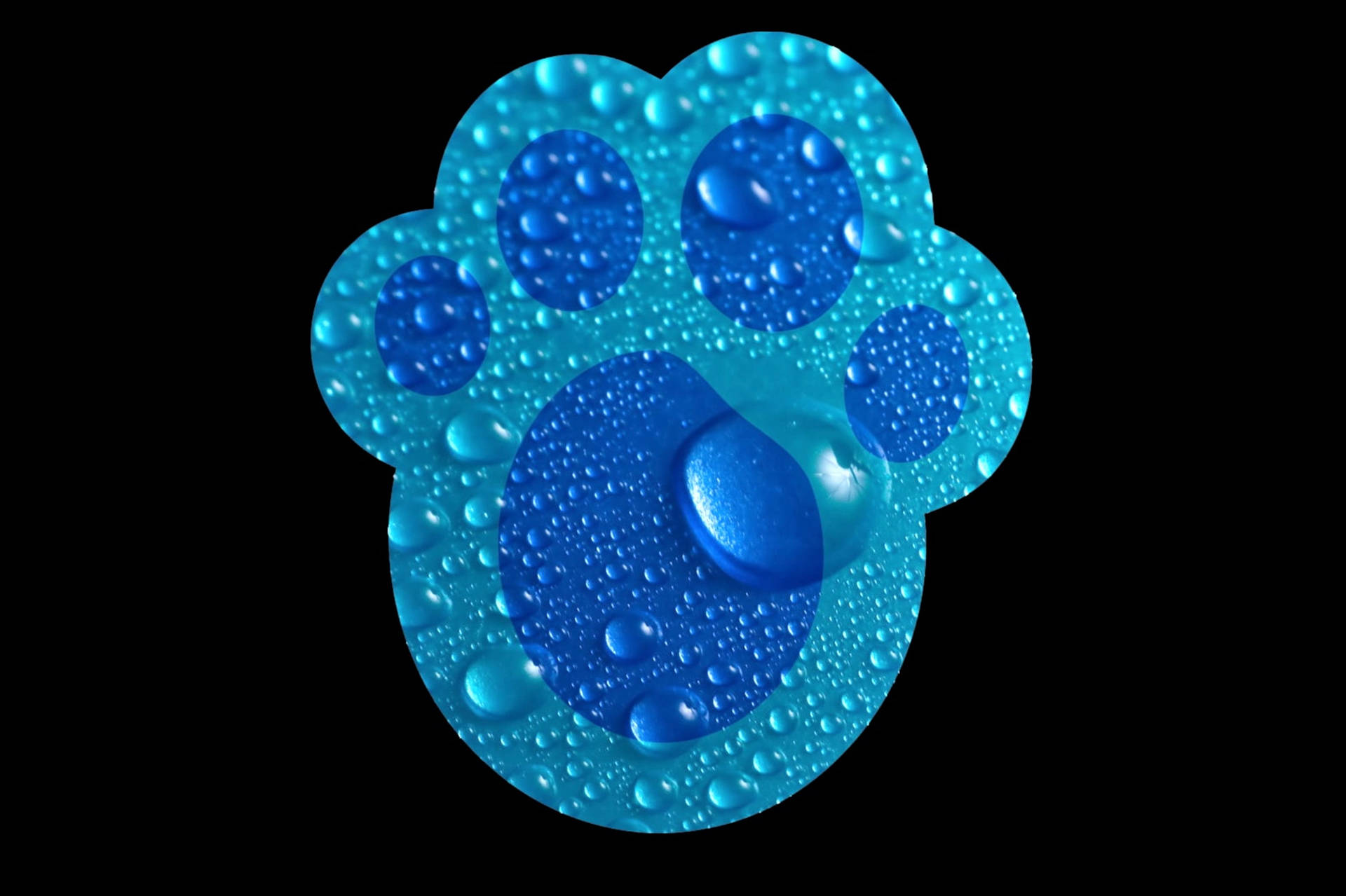 Blue Paw Print With Droplets Background
