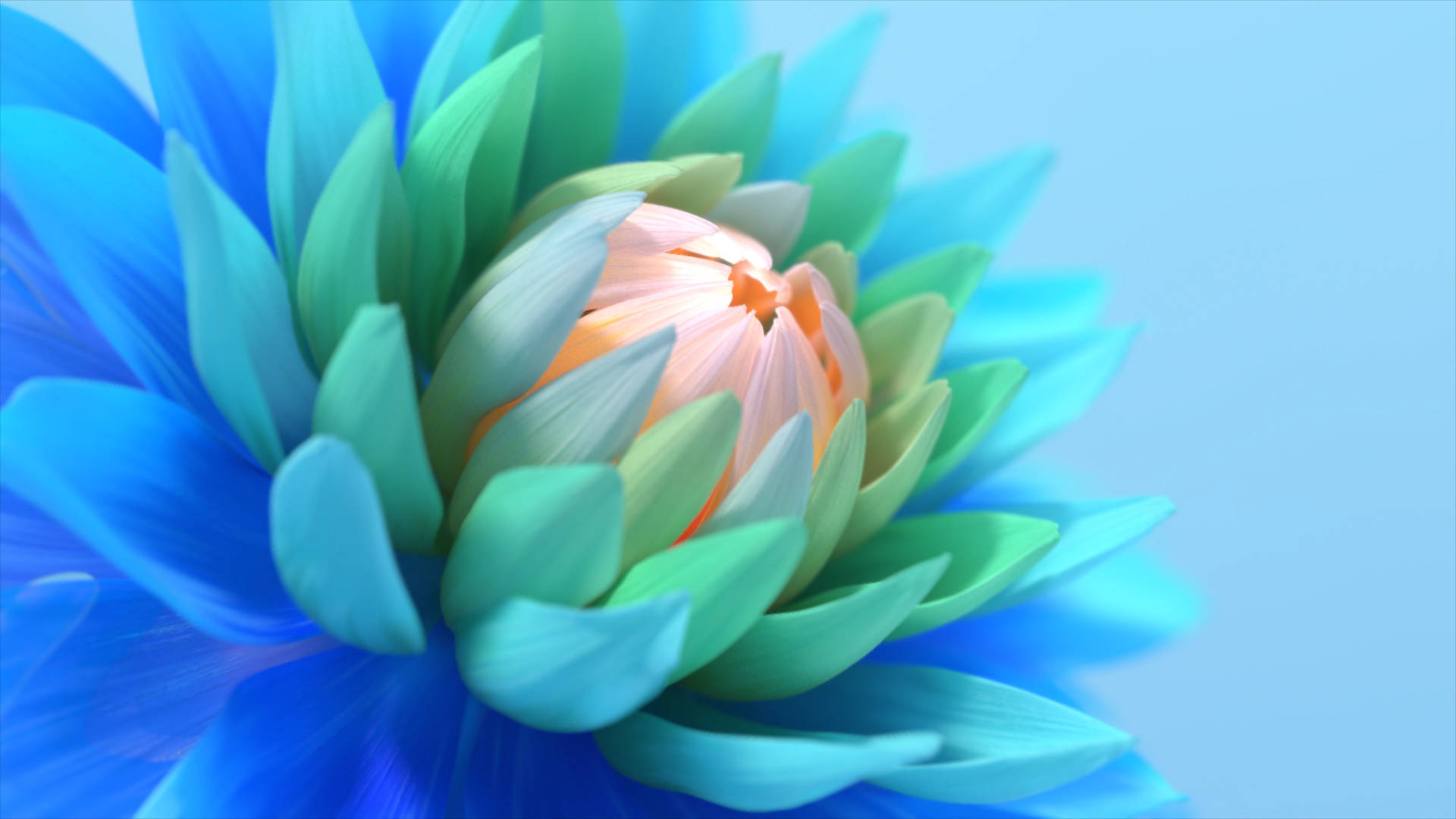 Blue Protea Full Screen 4k Flowers Background