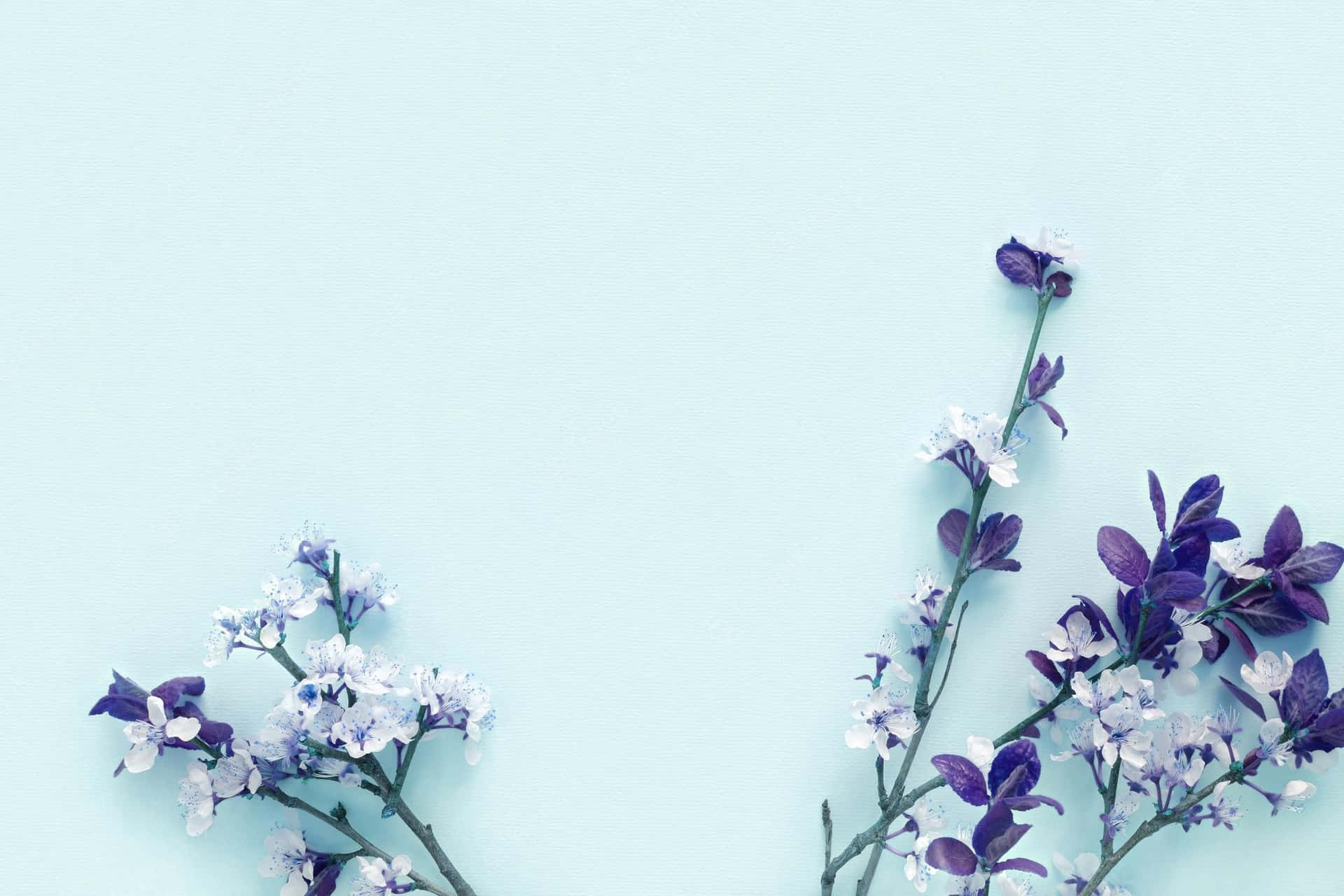 Blue Purple Flowers Aesthetic Background