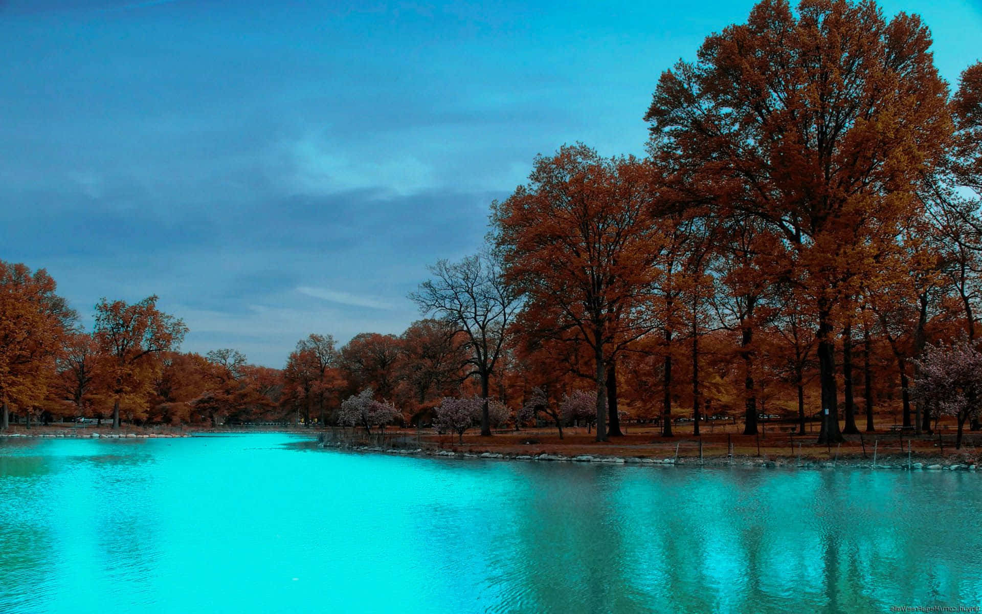 Blue River Autumn Forest Trees Photography Background