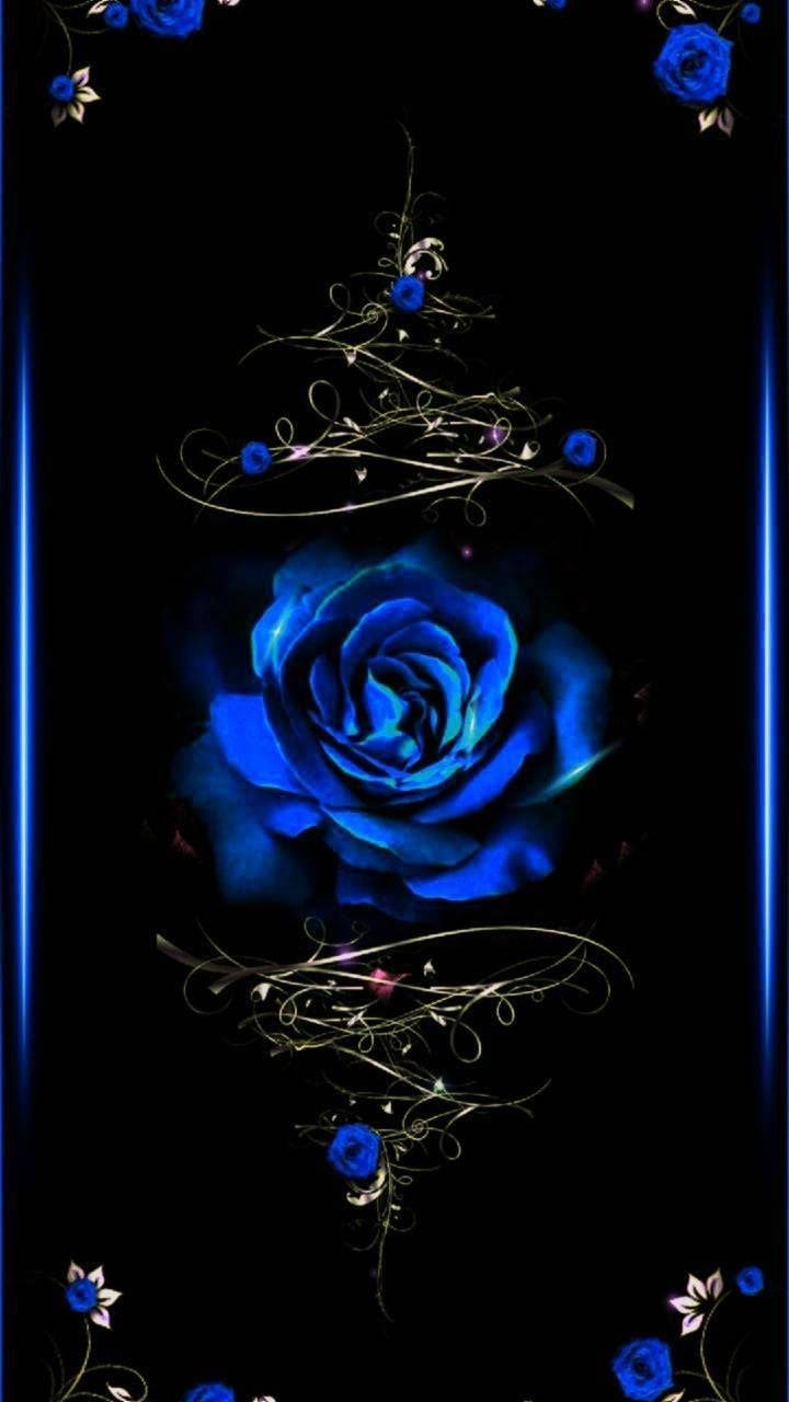 Blue Rose Wallpaper - Wallpapers For Pc