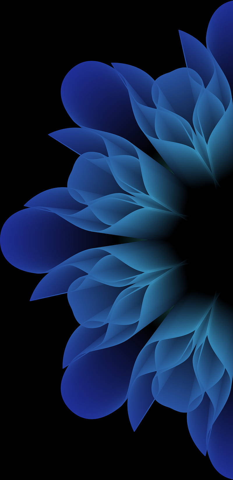 Blue Roses On Samsung Galaxy Note 7 Background