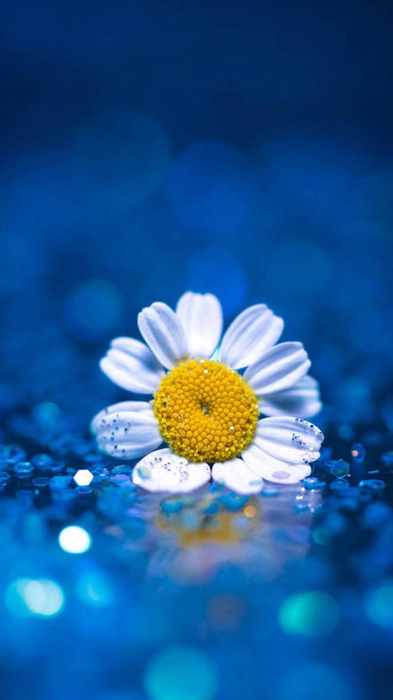 Blue Sequined Surface And Daisy Iphone Background