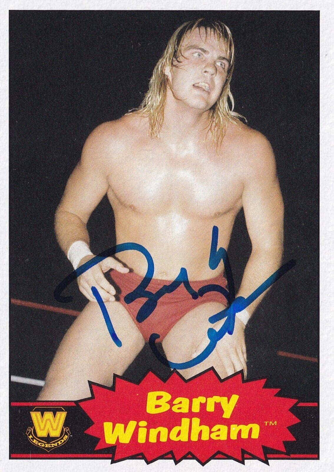 Blue Signature Barry Windham Background