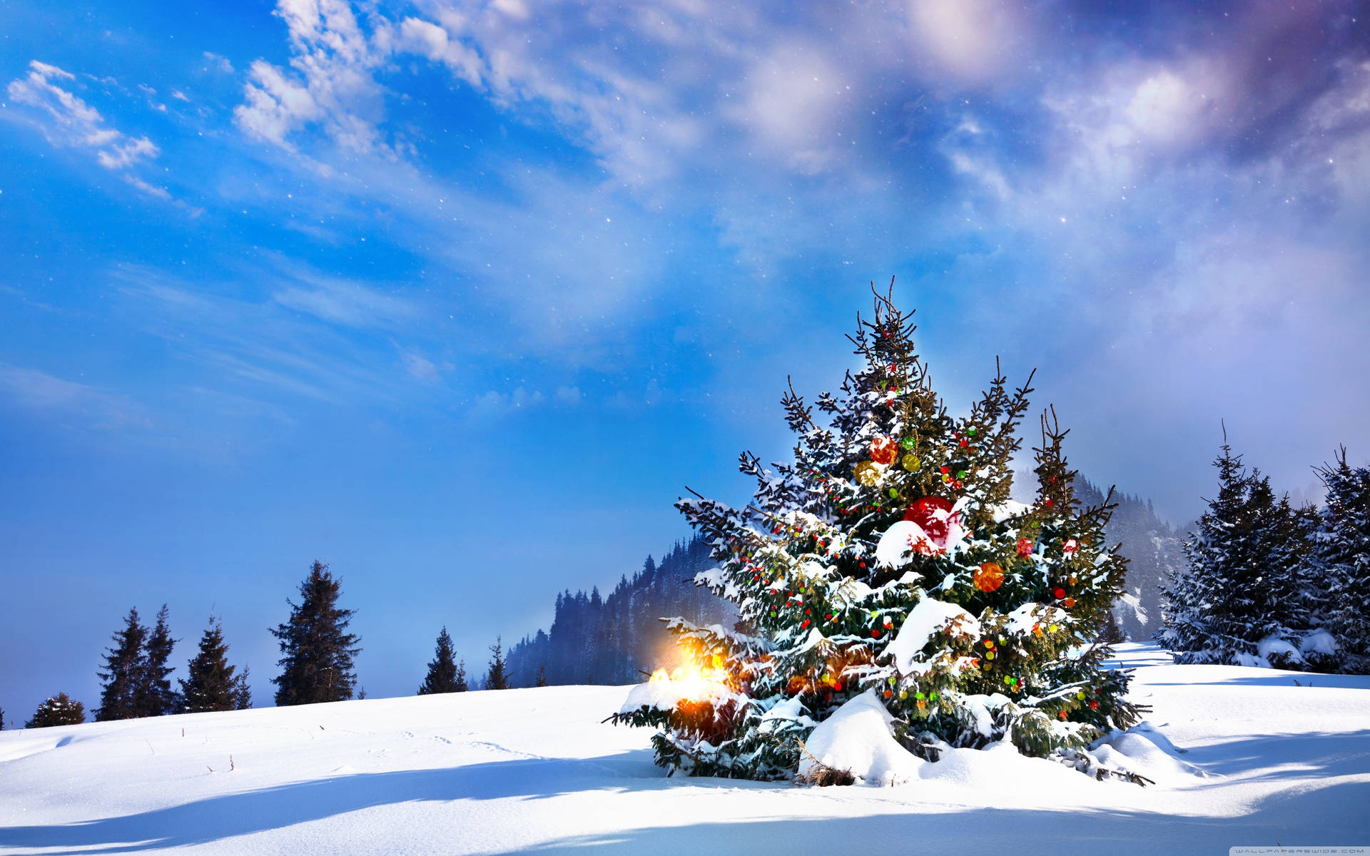 Blue Skies Above Christmas Forest Background