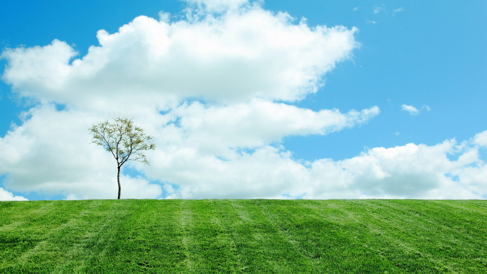 Blue Sky And Clouds In The Horizon Background