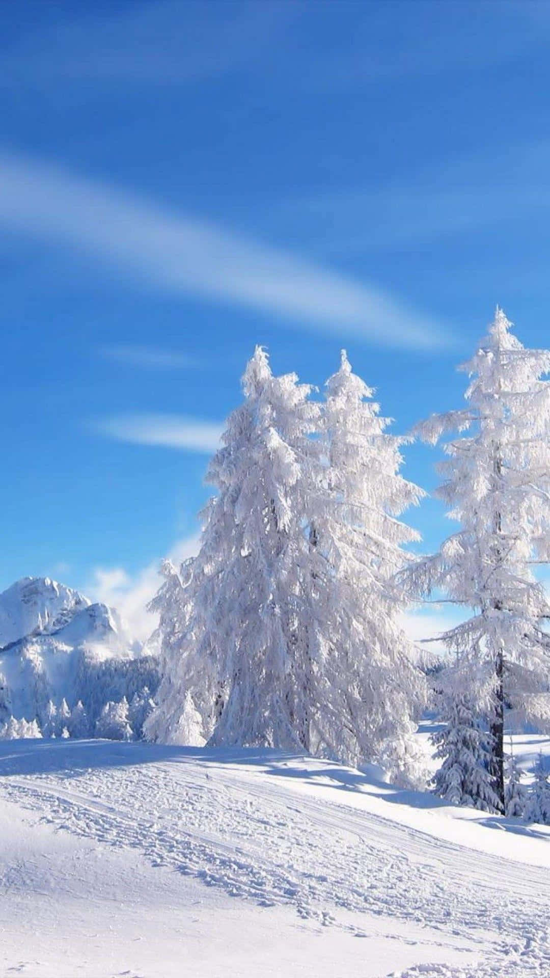 Blue Sky With Snow Falling Background