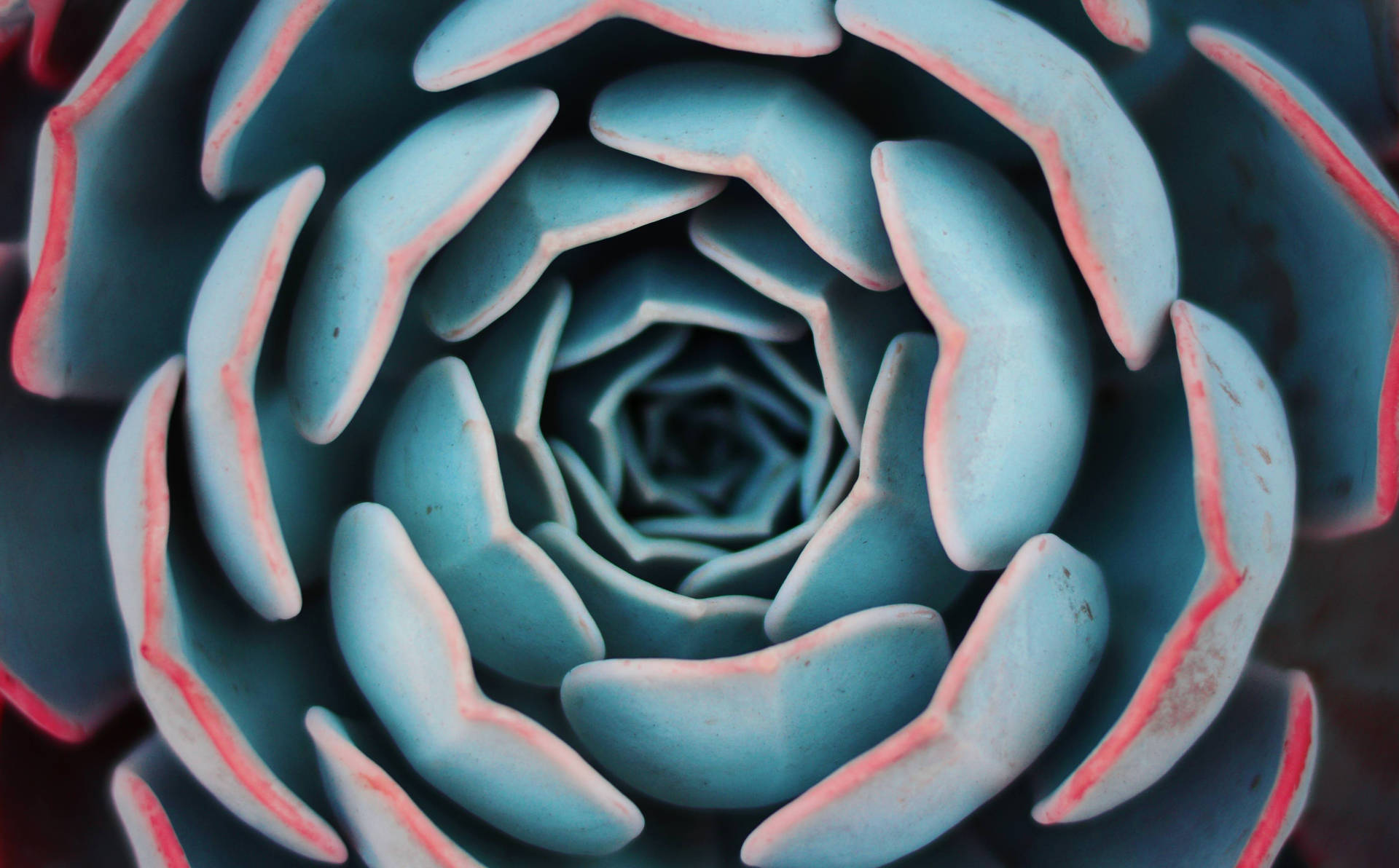 Blue Spiral Flower Background