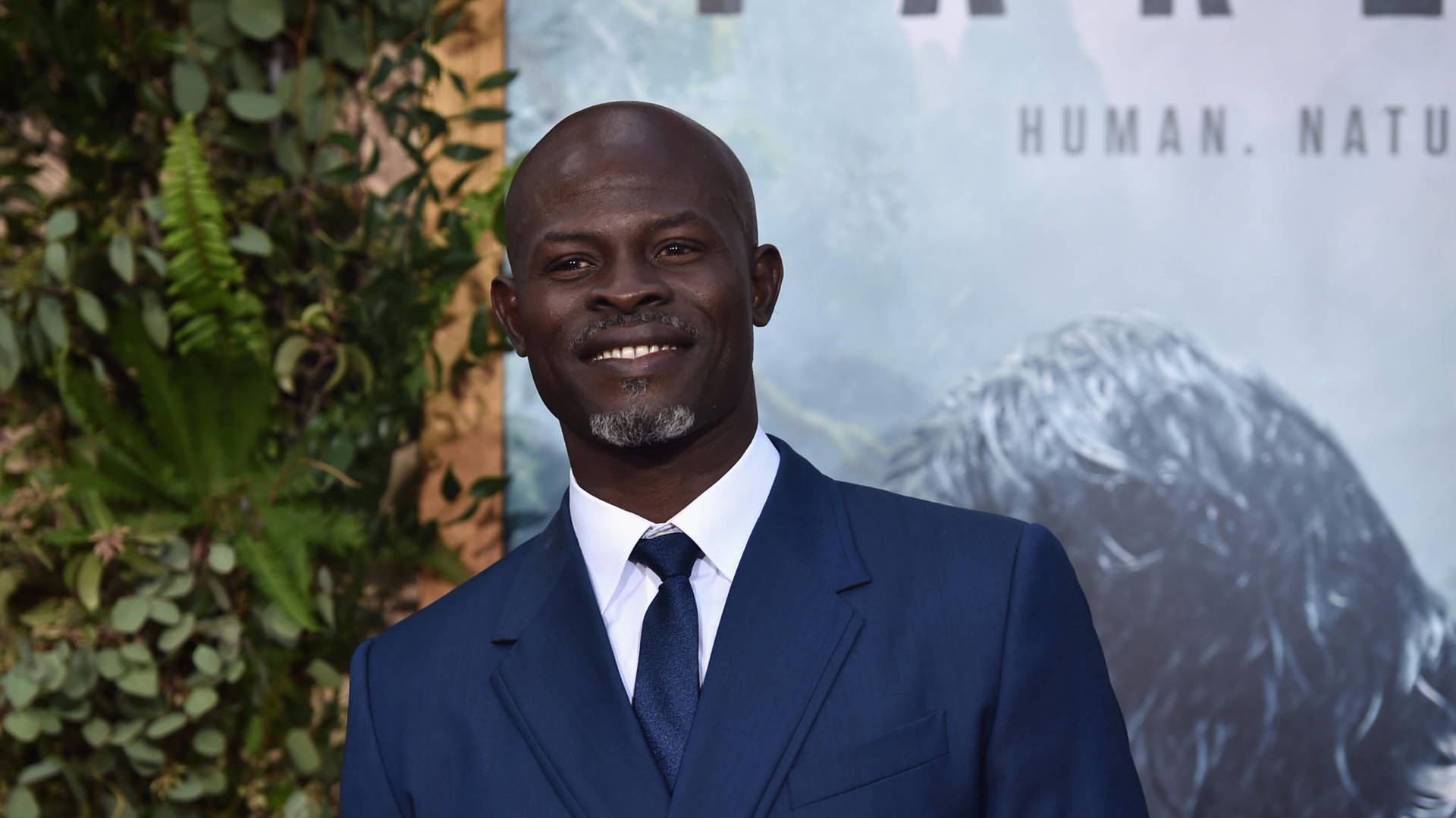 Blue Suit Djimon Hounsou Background