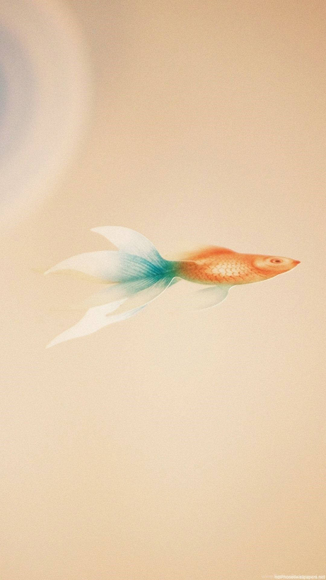 Blue-tailed Goldfish Background