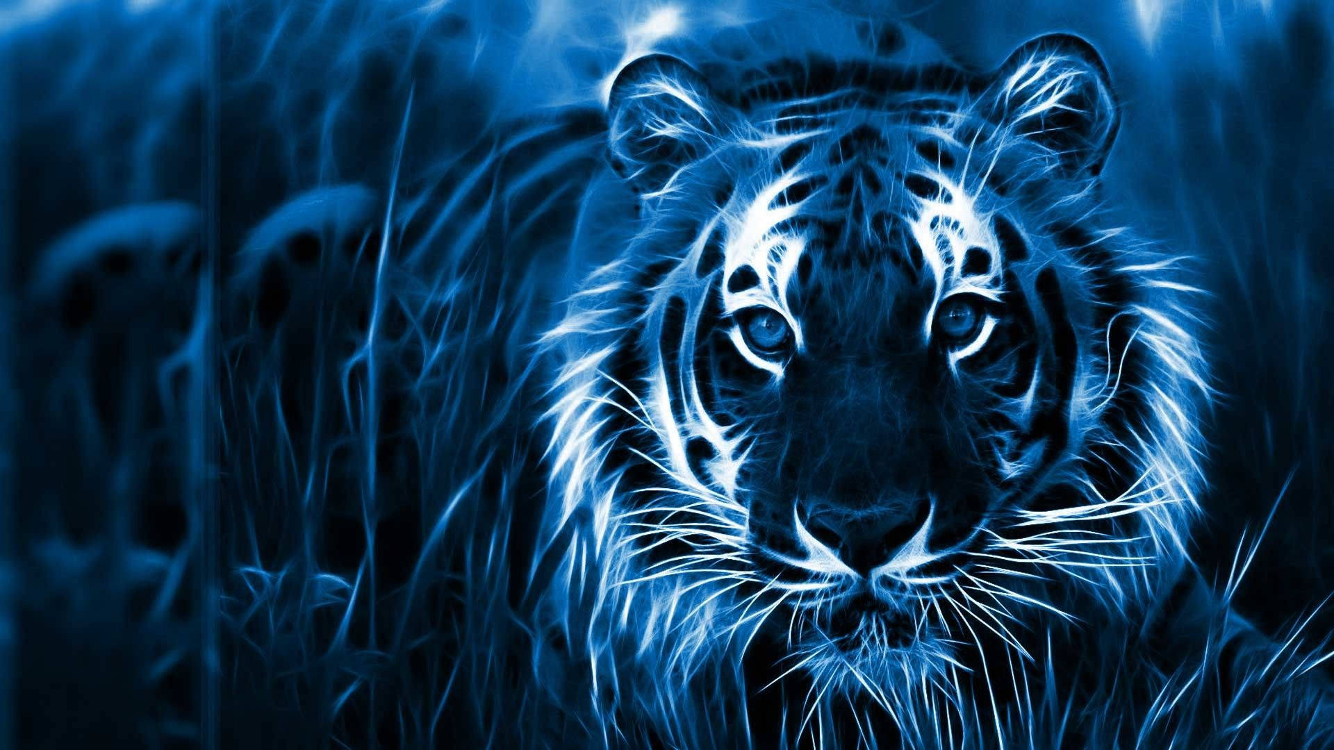 Blue Tiger Laptop Desktop Background