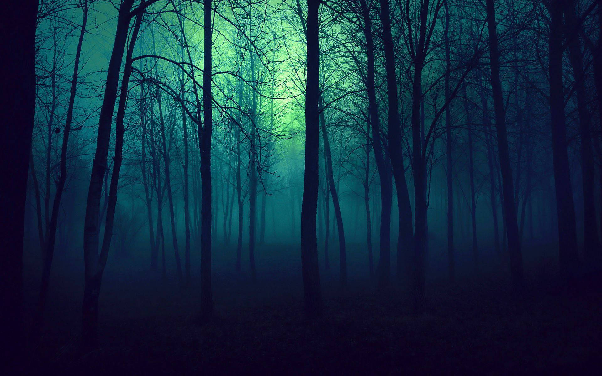 Blue-tinted Ominous Forest