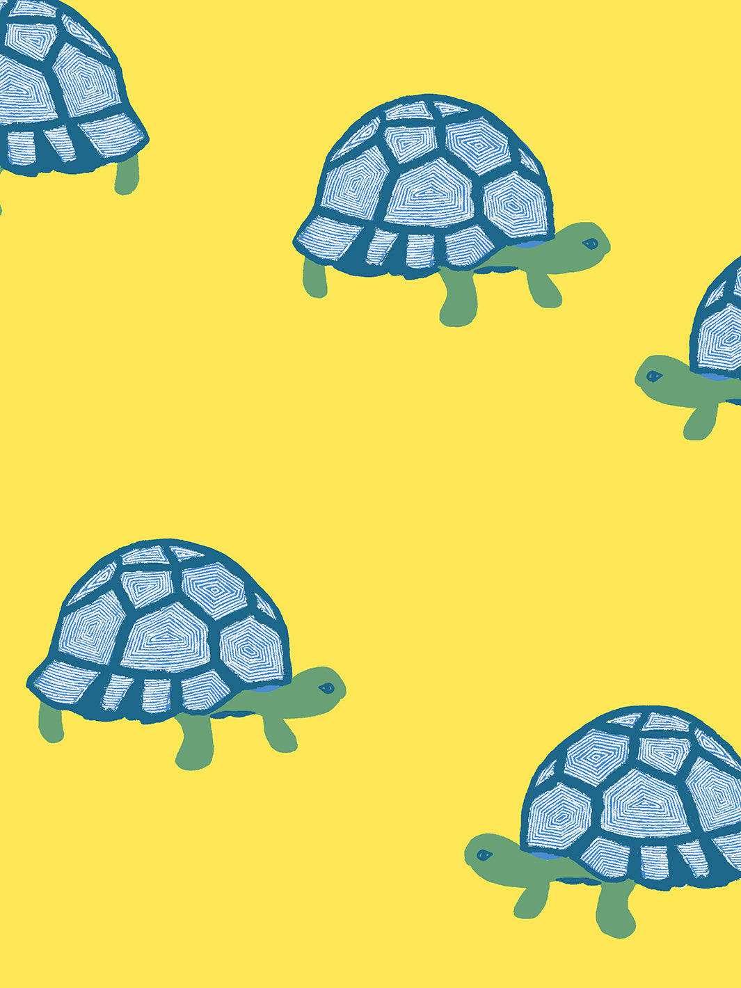 Blue Tortoise In Yellow Background