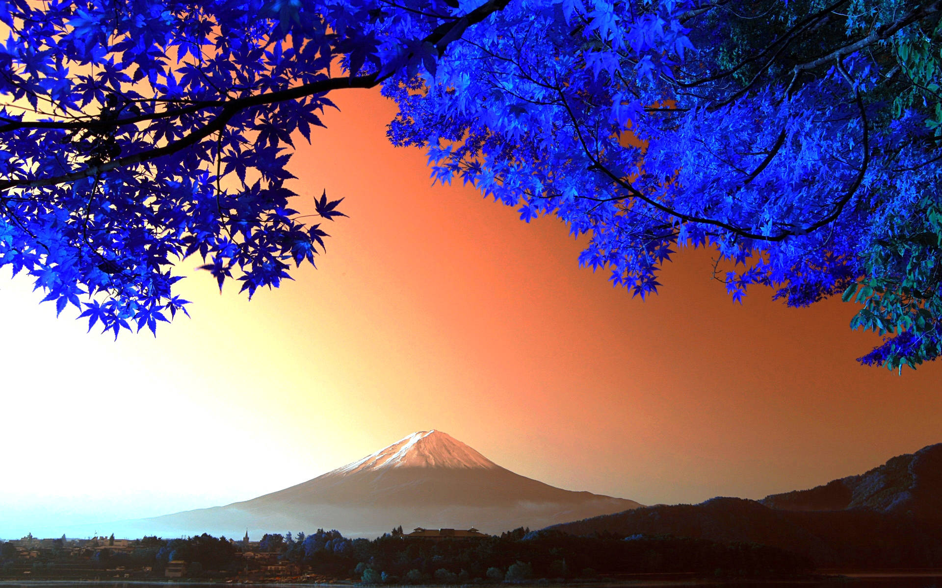 Blue Trees And Mount Fuji Background