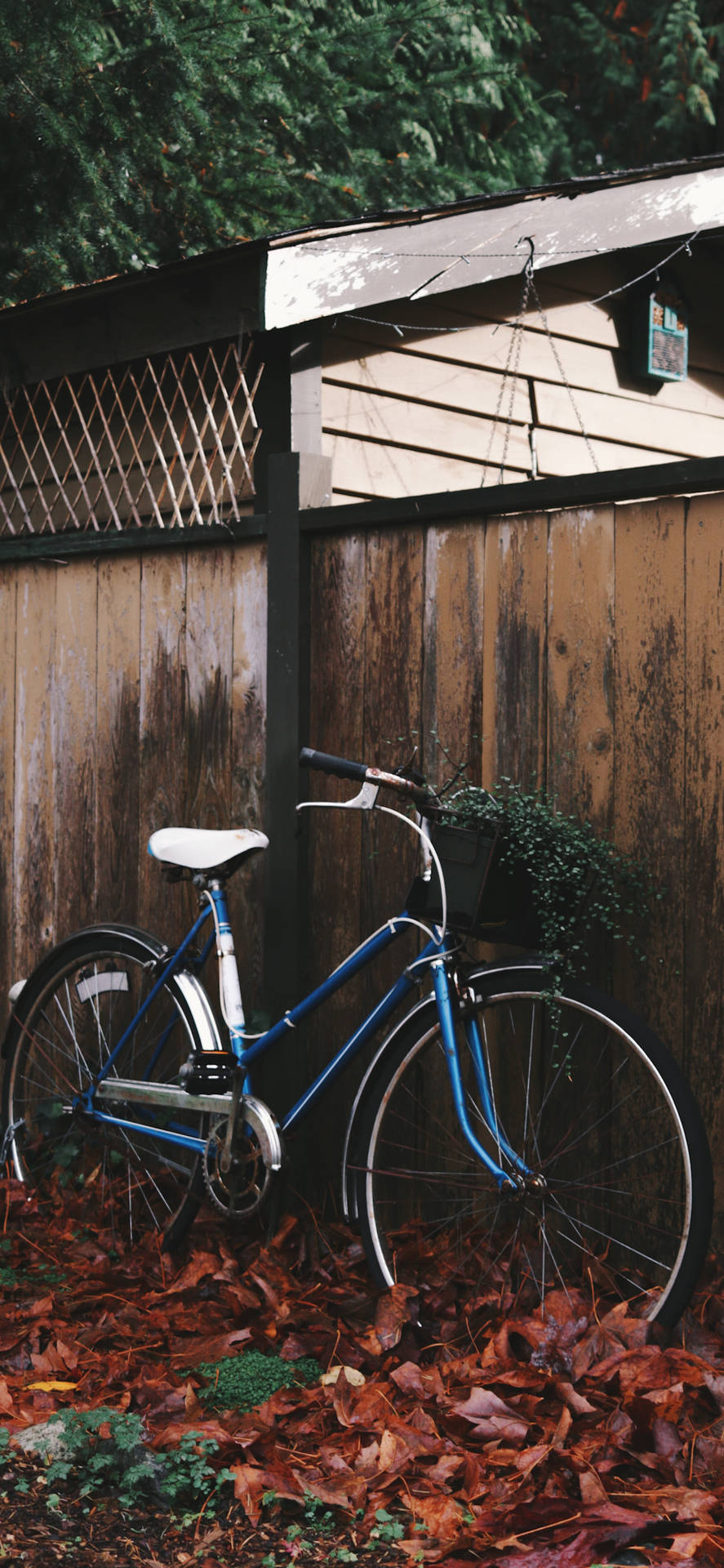 Blue Utility Bikes Iphone