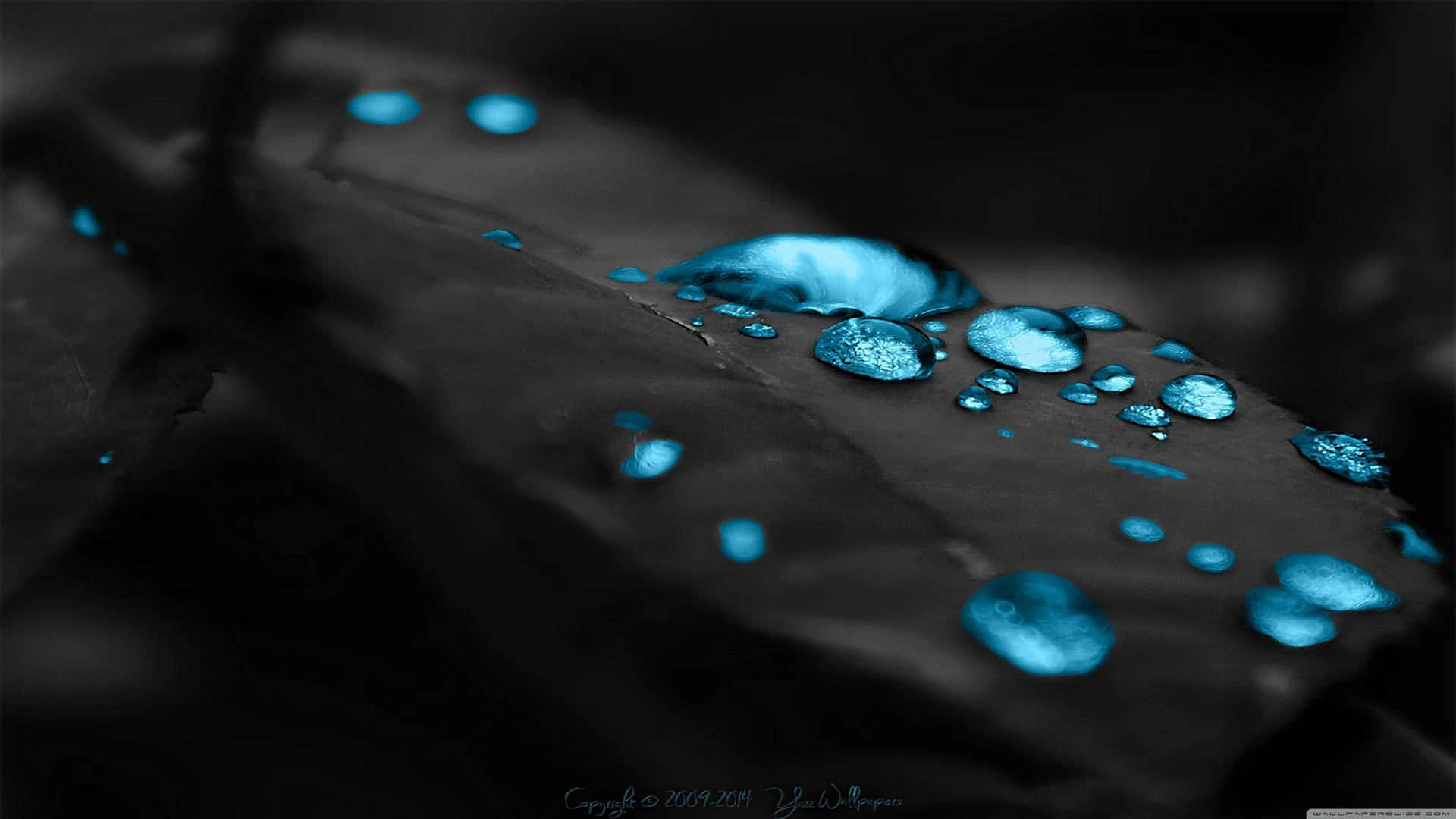 Blue Water Droplets On A Leaf Background