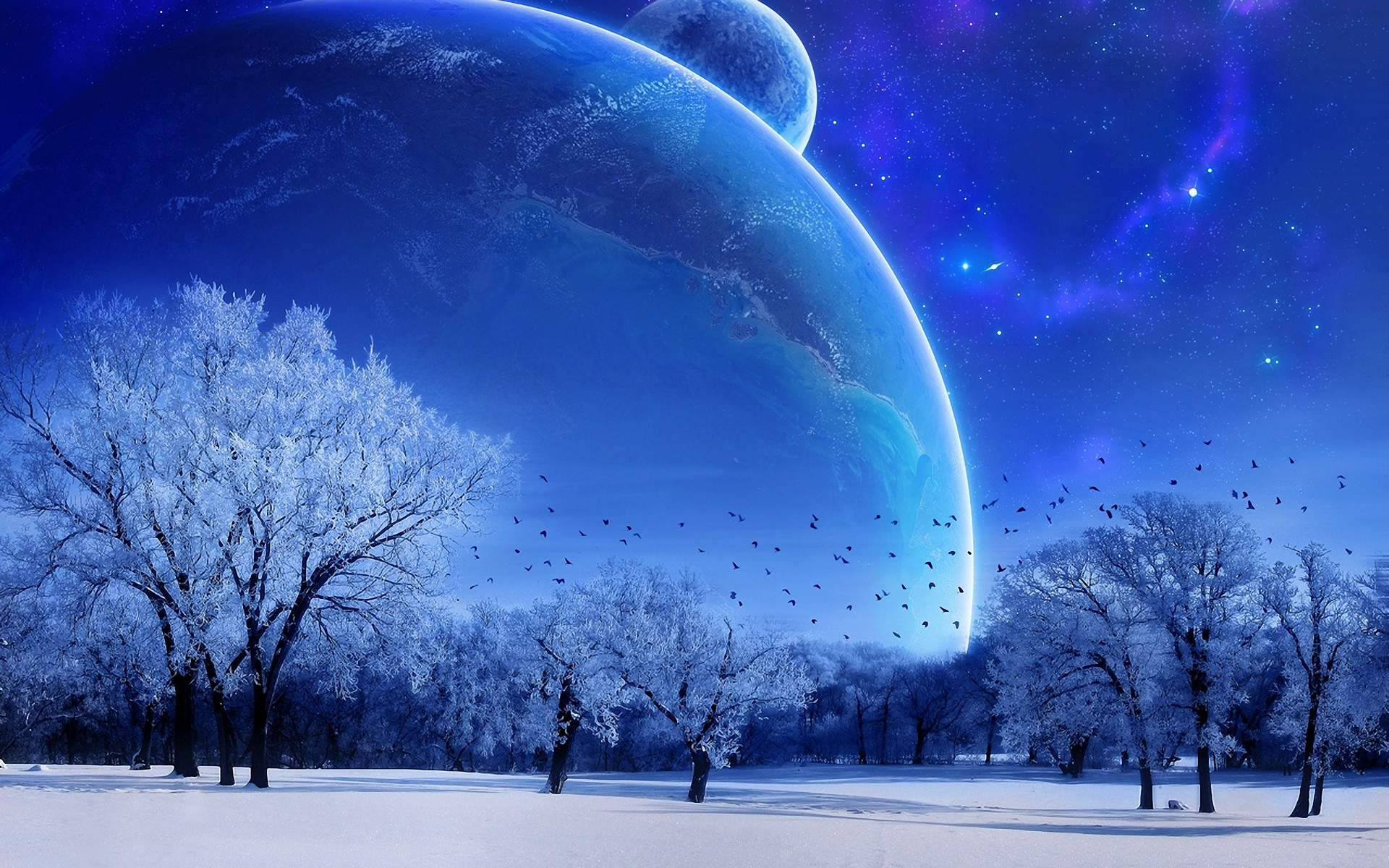 Blue Winter Nature Computer Background