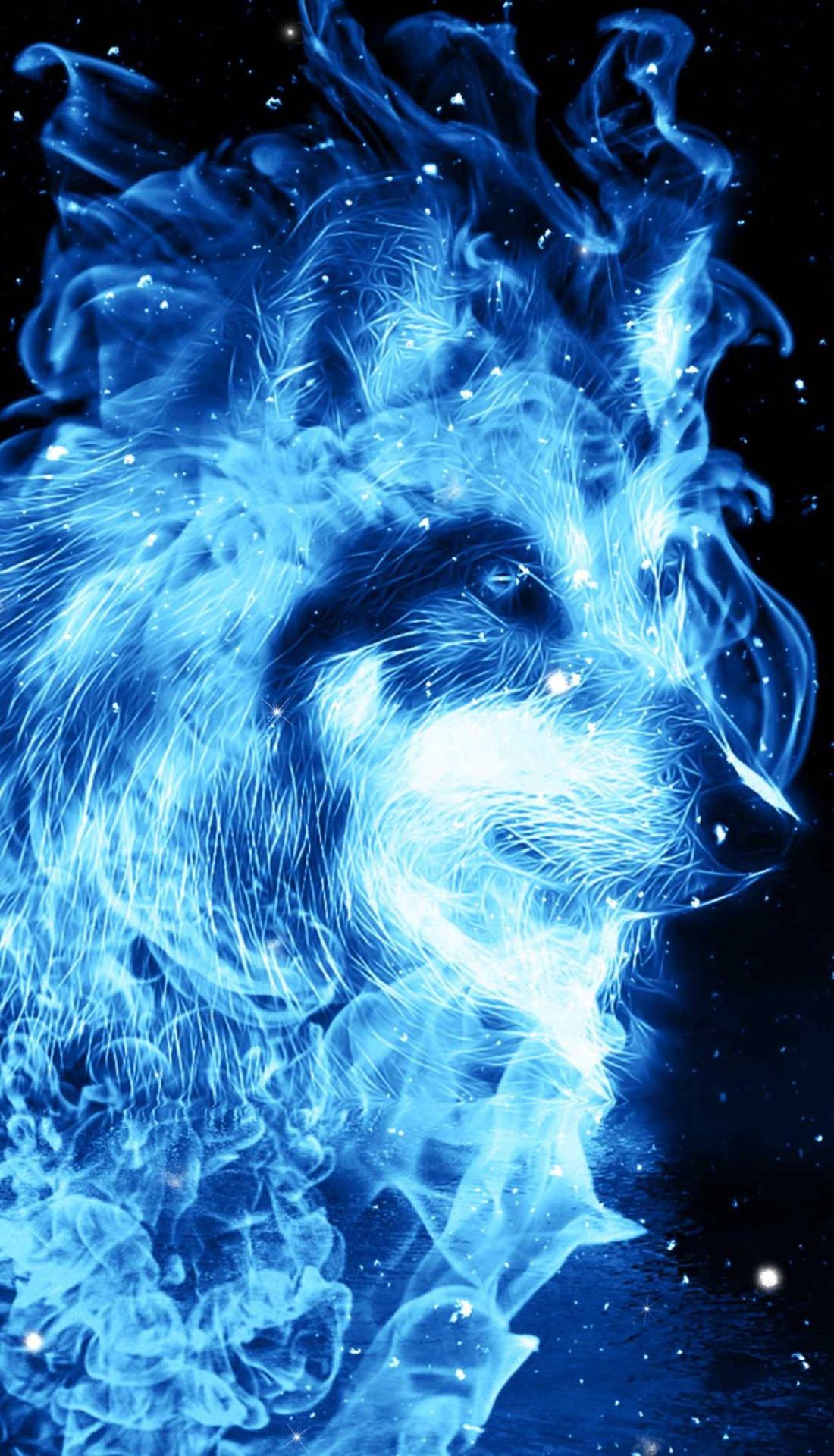 Blue Wolf Flame Like Fur Background