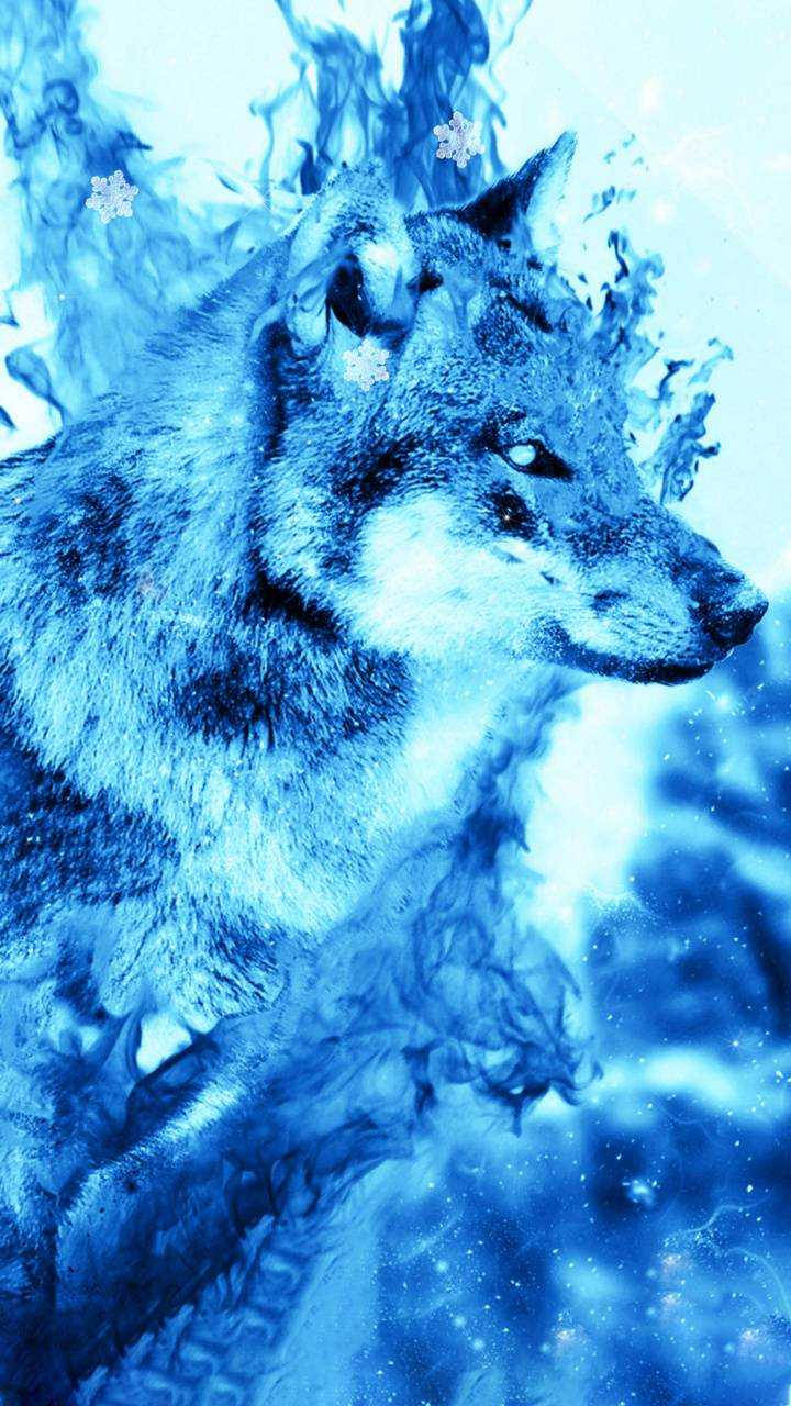 Blue Wolf Water Art Background
