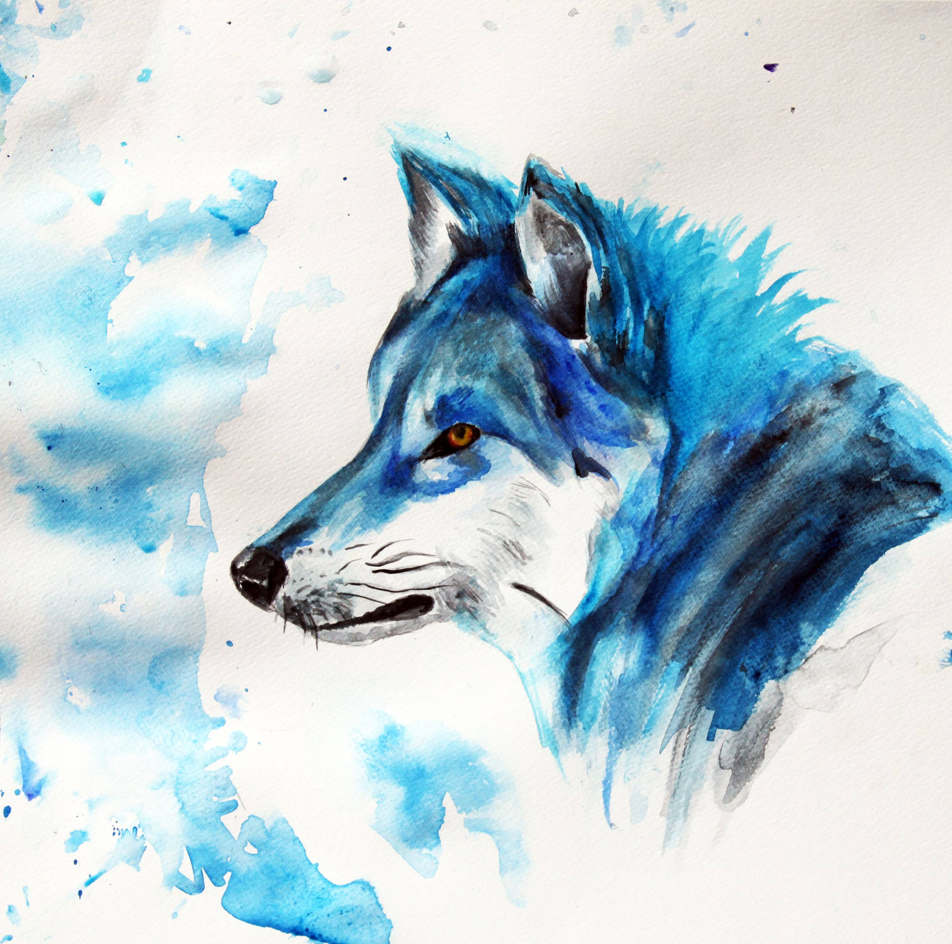 Blue Wolf Watercolor Painting Background