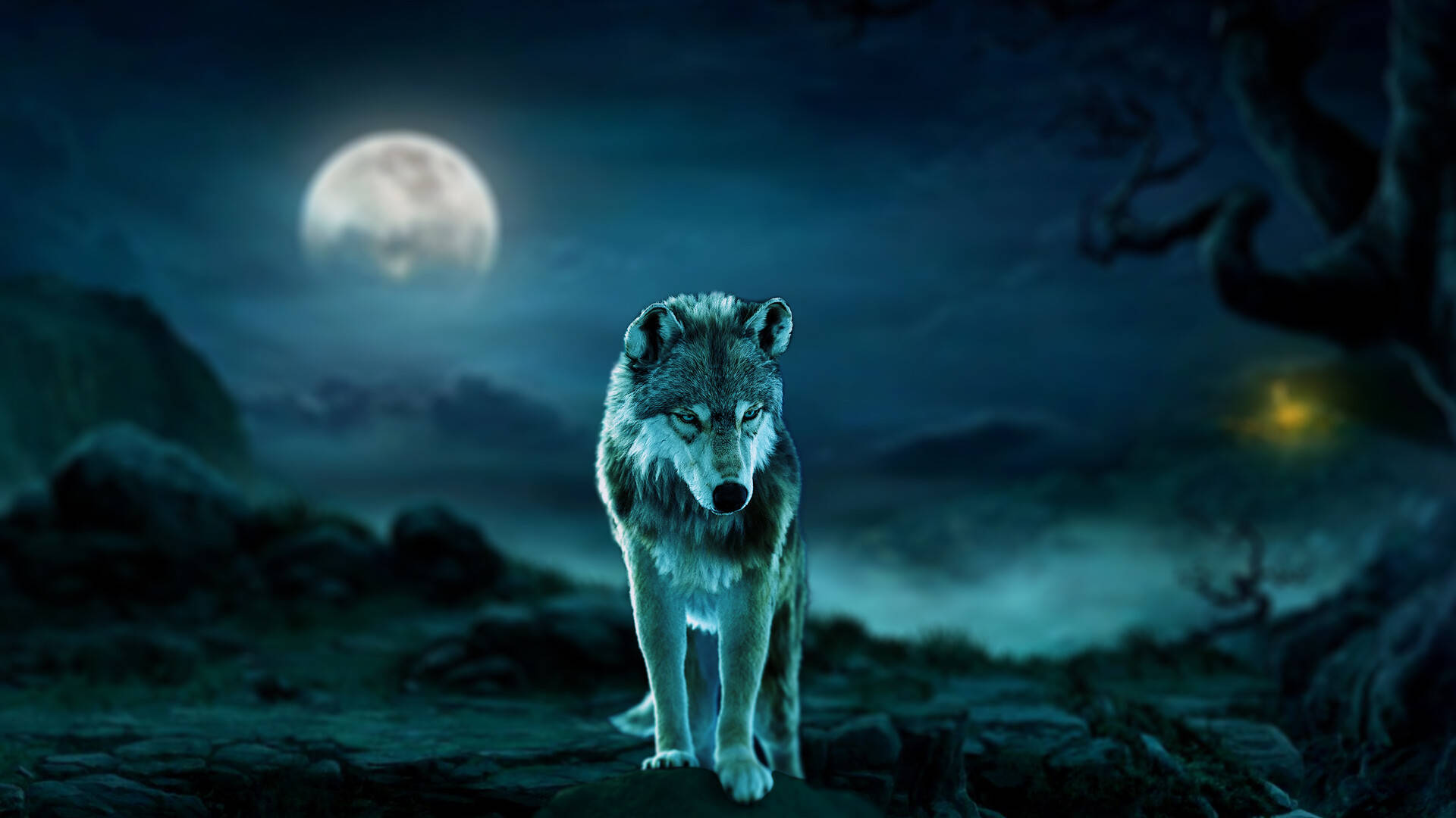 Blue Wolf With Full Moon