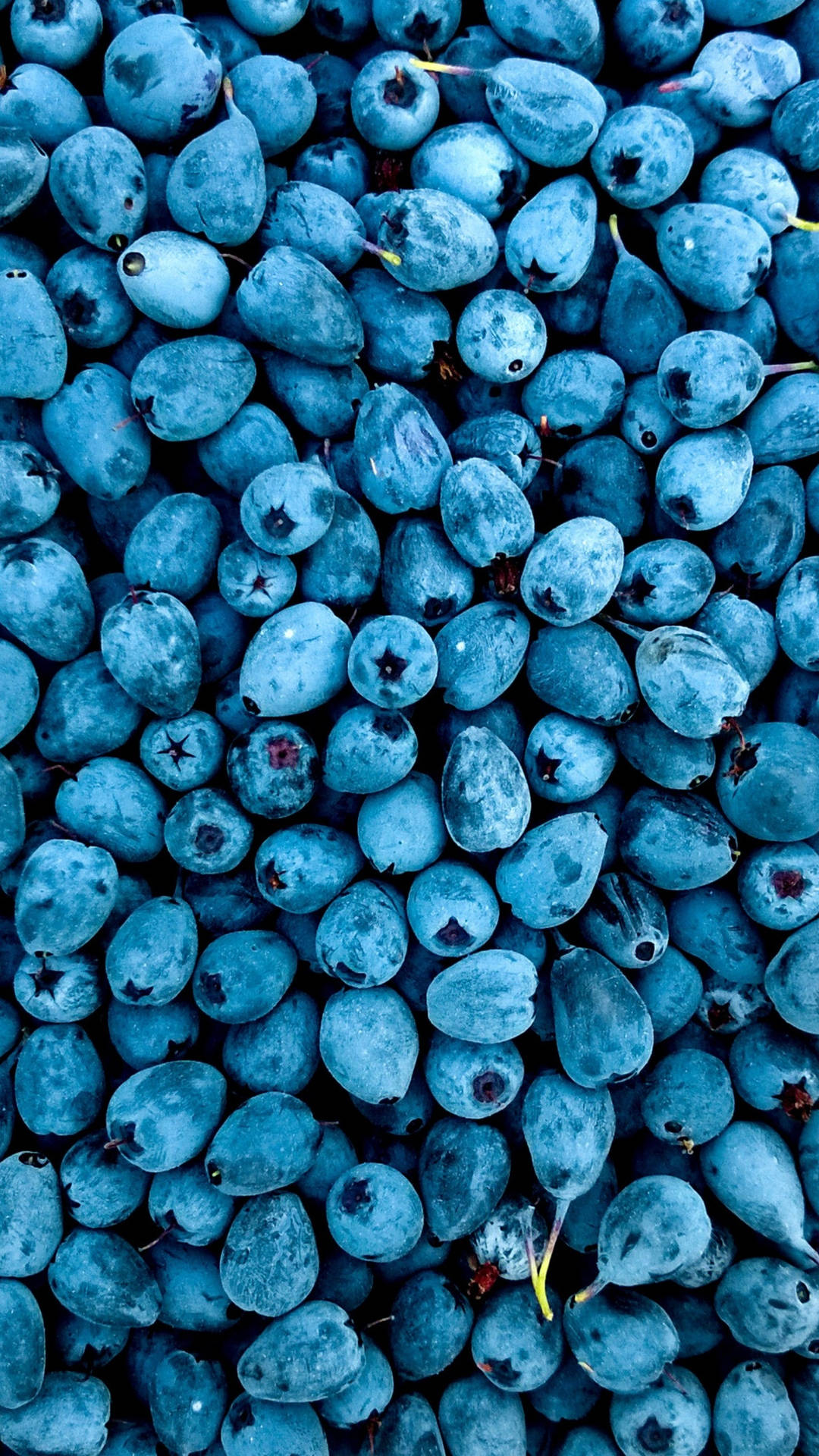 Blueberries 2160x3840 Background