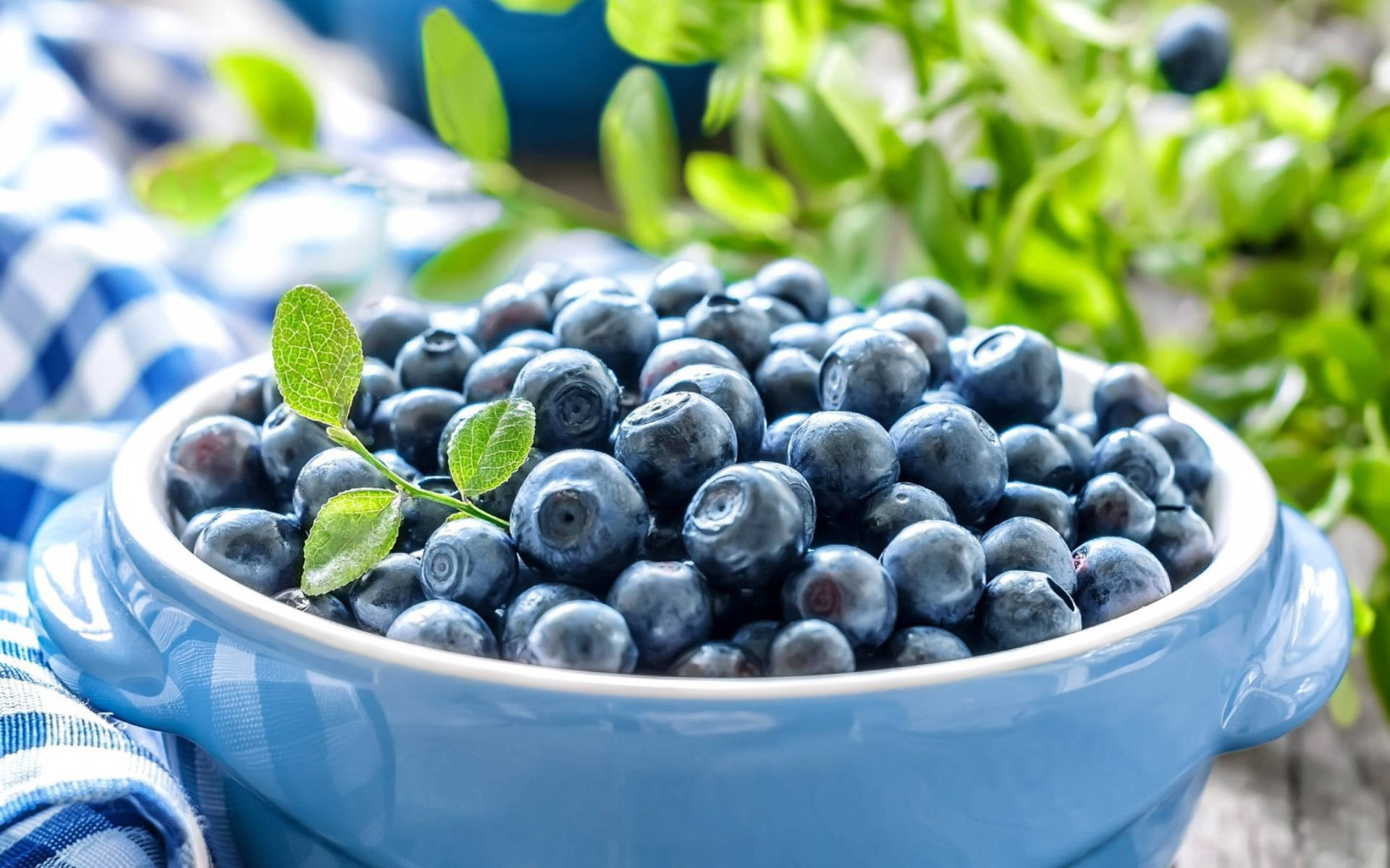Blueberries In A Ceramic Bowl Background