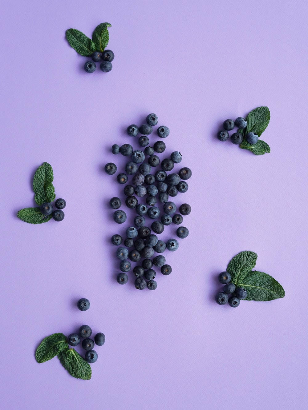 Blueberries In Aesthetic Purple Arrangement