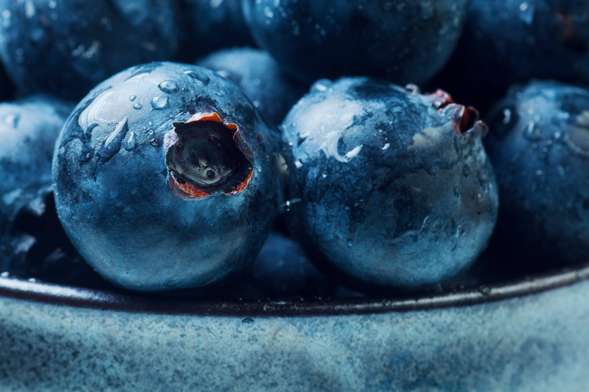 Blueberries In Daytime Background