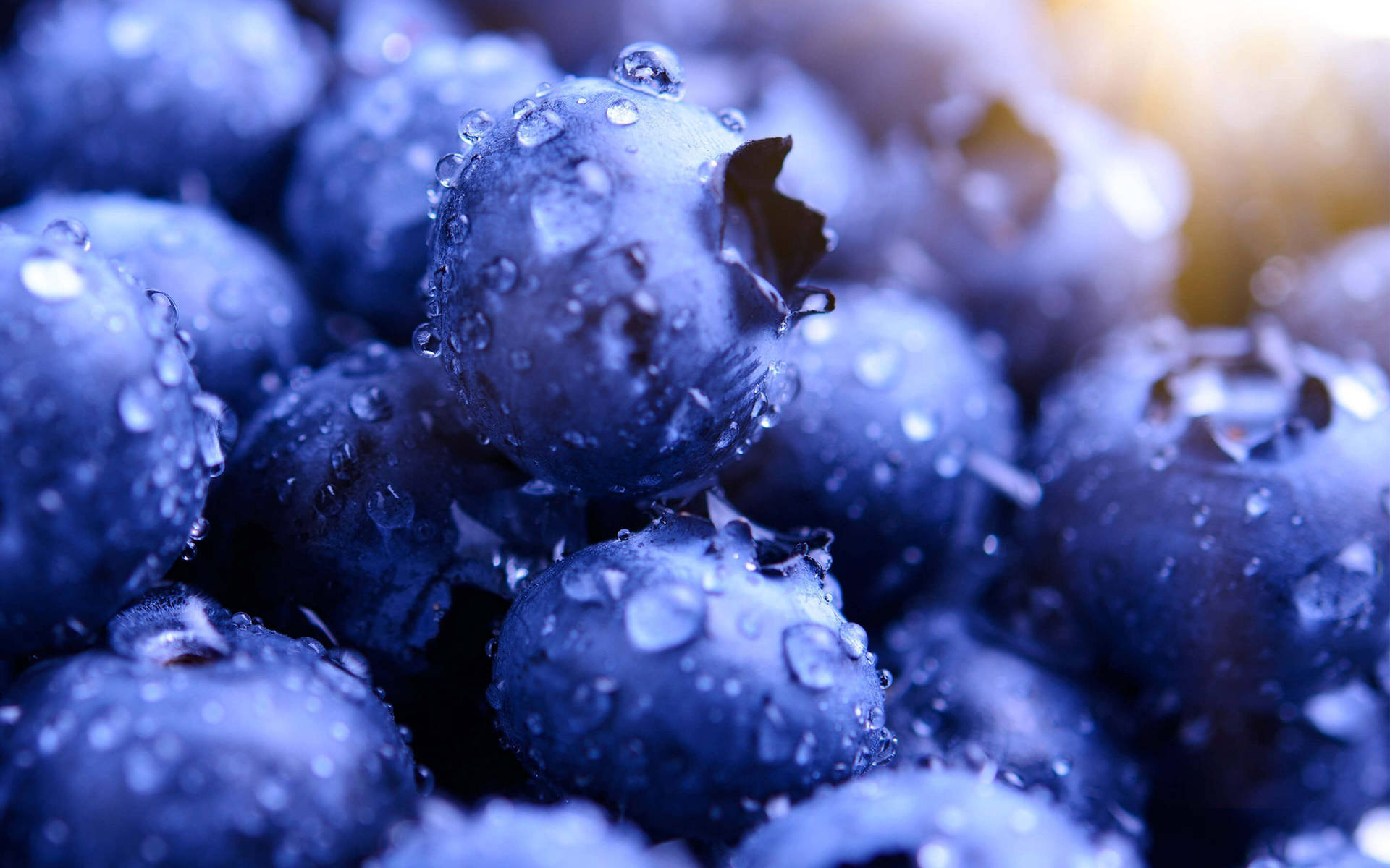 Blueberries Macro Photography Background